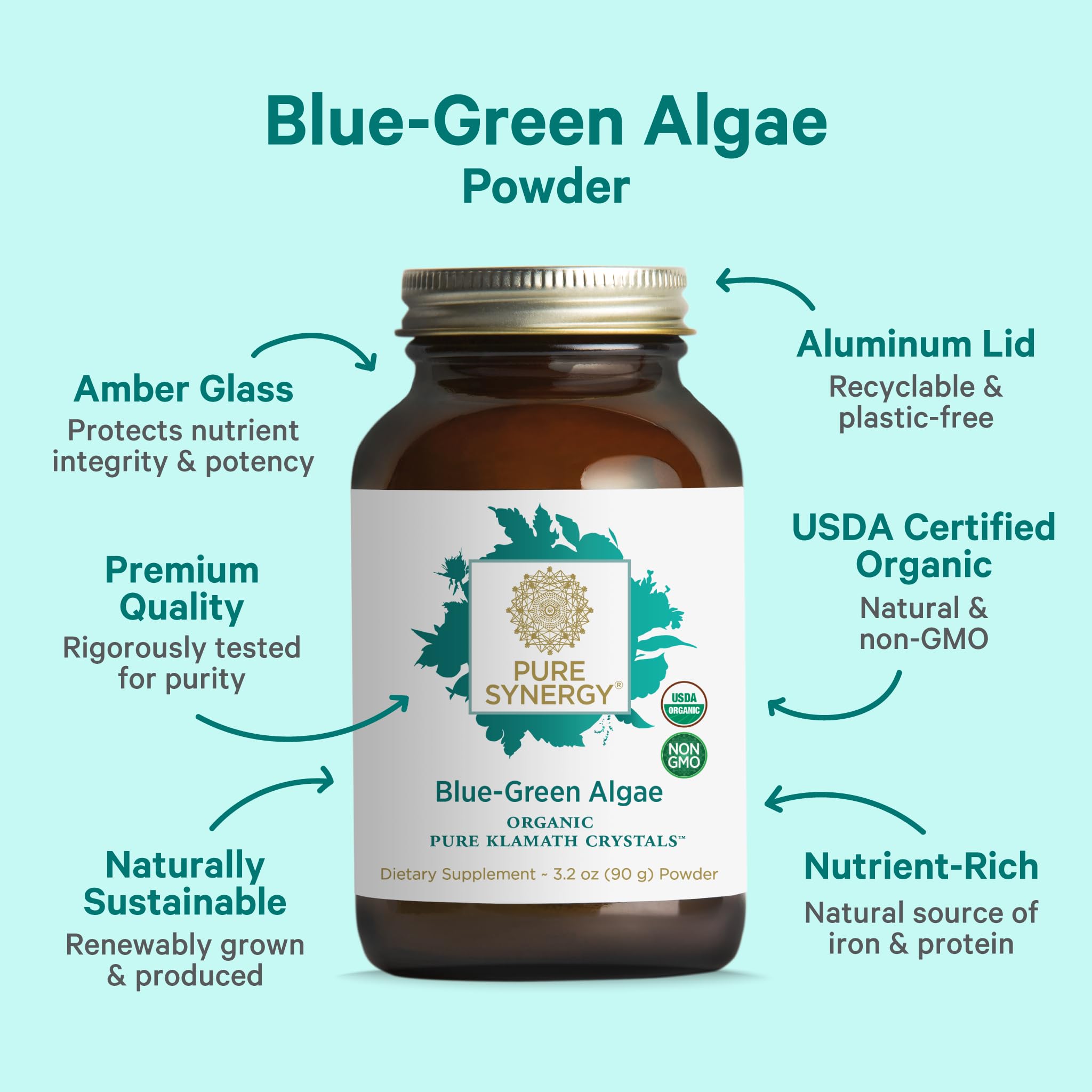 PURE SYNERGY Blue-Green Algae Powder | Superfood Powder with Chlorophyll | Organic AFA Blue Green Algae Supplement | Supports Energy, Mental Clarity, and Detoxification (3.2 oz.) PURE SYNERGY buy supplements canada