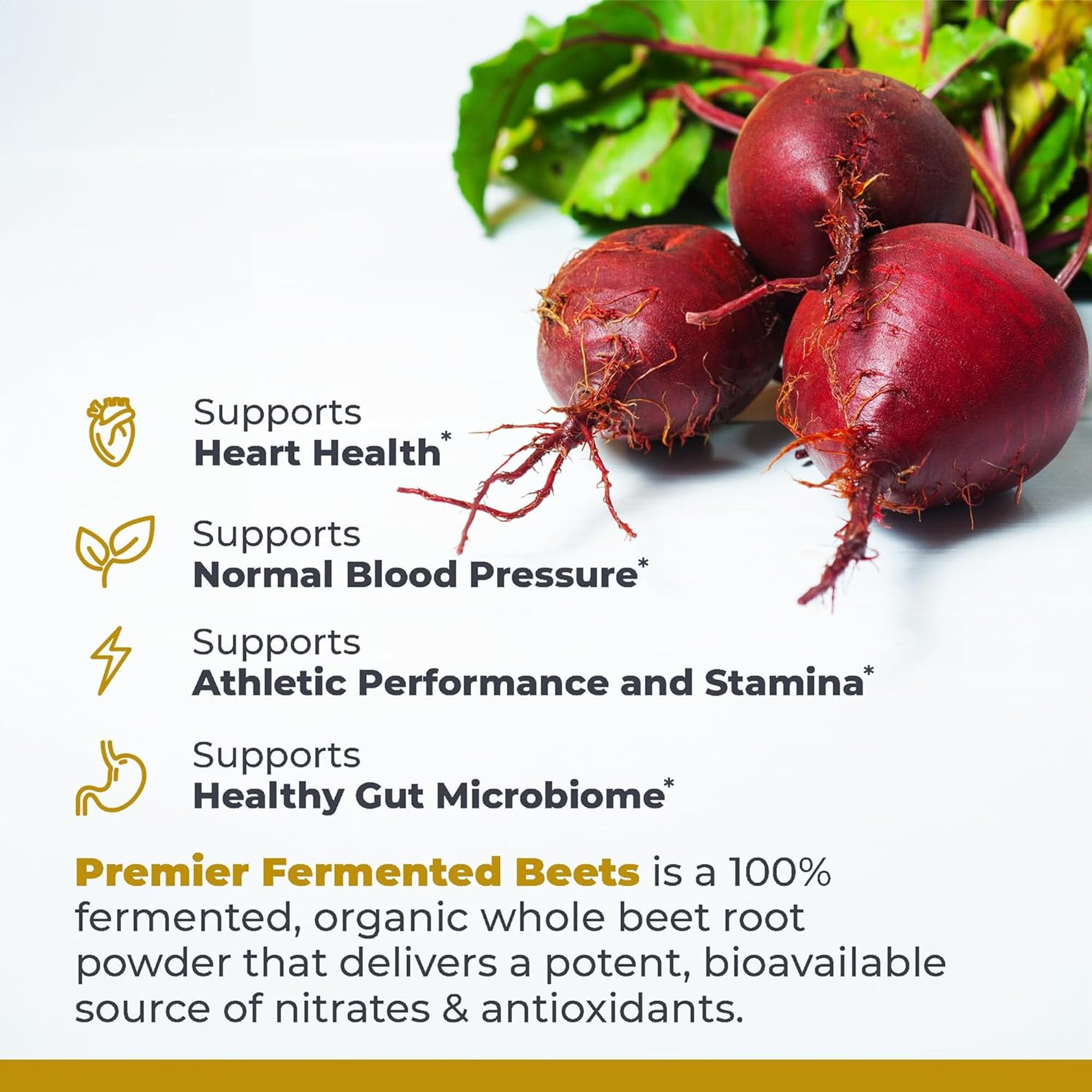 Premier Research Labs Premier Fermented Beets - Beet Root Powder Fermented, Organic Fermented Beets for Men & Women, Beetroot, Nitrates, Blood Pressure Support, USDA Organic - 6.3 Oz Jar Premier Research Labs buy supplements canada