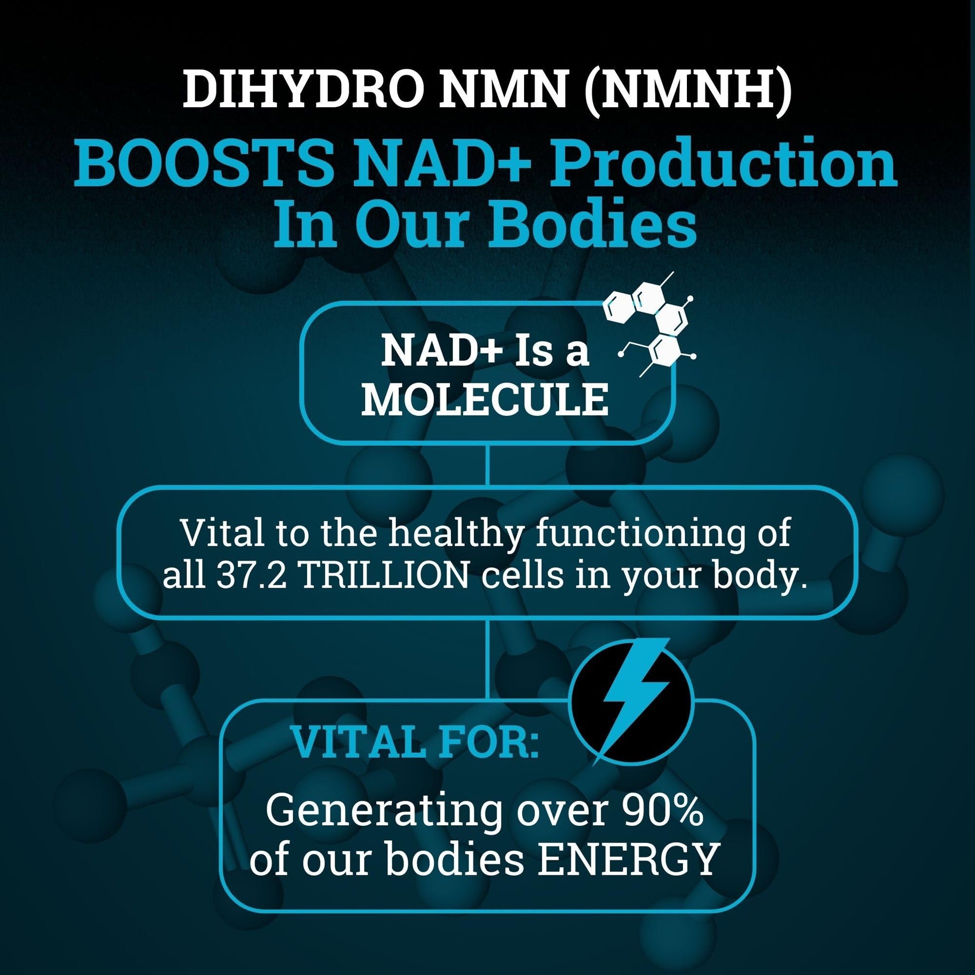 NMNH Supplement 250MG Pure Dihydro-Nicotinamide Mononucleotide (NMN Supplement Alternative with Bioperine® For 3X The Bioavailability) NAD Supplement to Boost NAD+ Levels For Anti-Aging & Energy Black Forest buy supplements canada