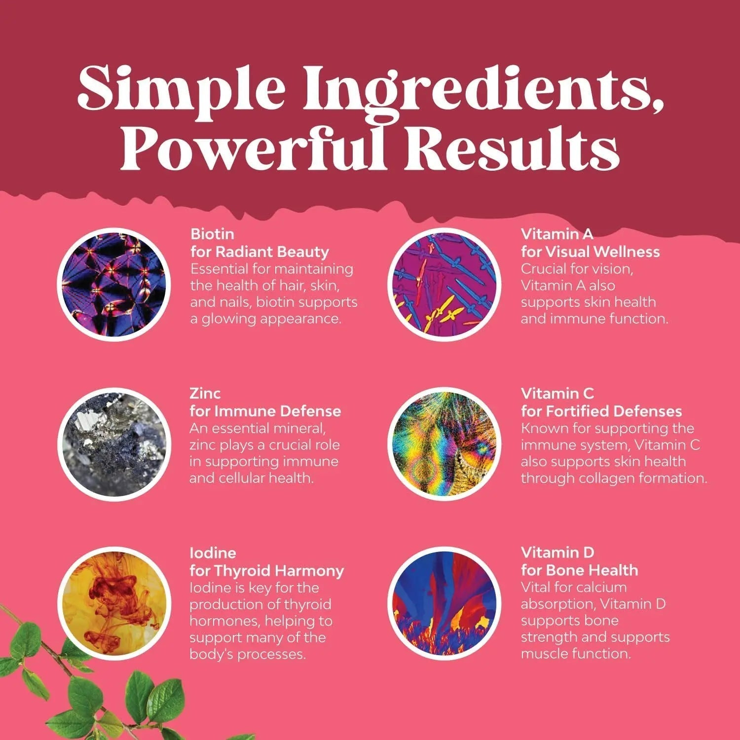 Bundle of Daily Mens Multivitamins Gummies with Zinc and Biotin for Energy and Immunity and Daily Multivitamin for Women Gummies - Gummy Vitamins for Health and Wellness Natures Craft buy supplements canada
