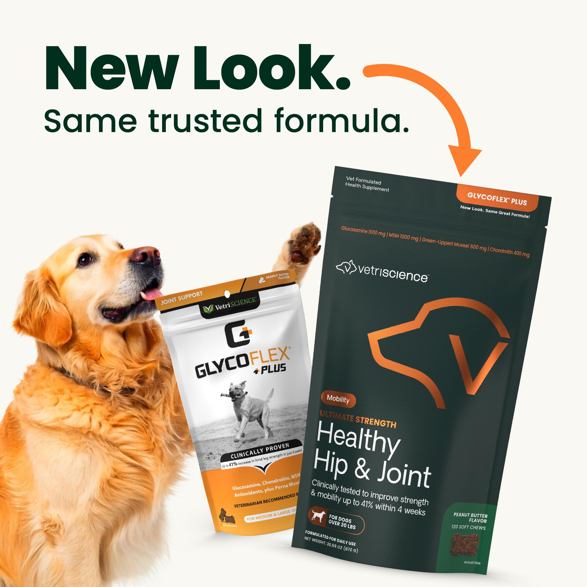 VetriScience Ultimate Strength Hip & Joint Supplement for Dogs, GlycoFlex Plus – MSM, Chondroitin & Green-Lipped Mussel Chews for Mobility, Flexibility, Comfort & Support, Peanut Butter Flavor 120 Cnt VETRISCIENCE buy supplements canada