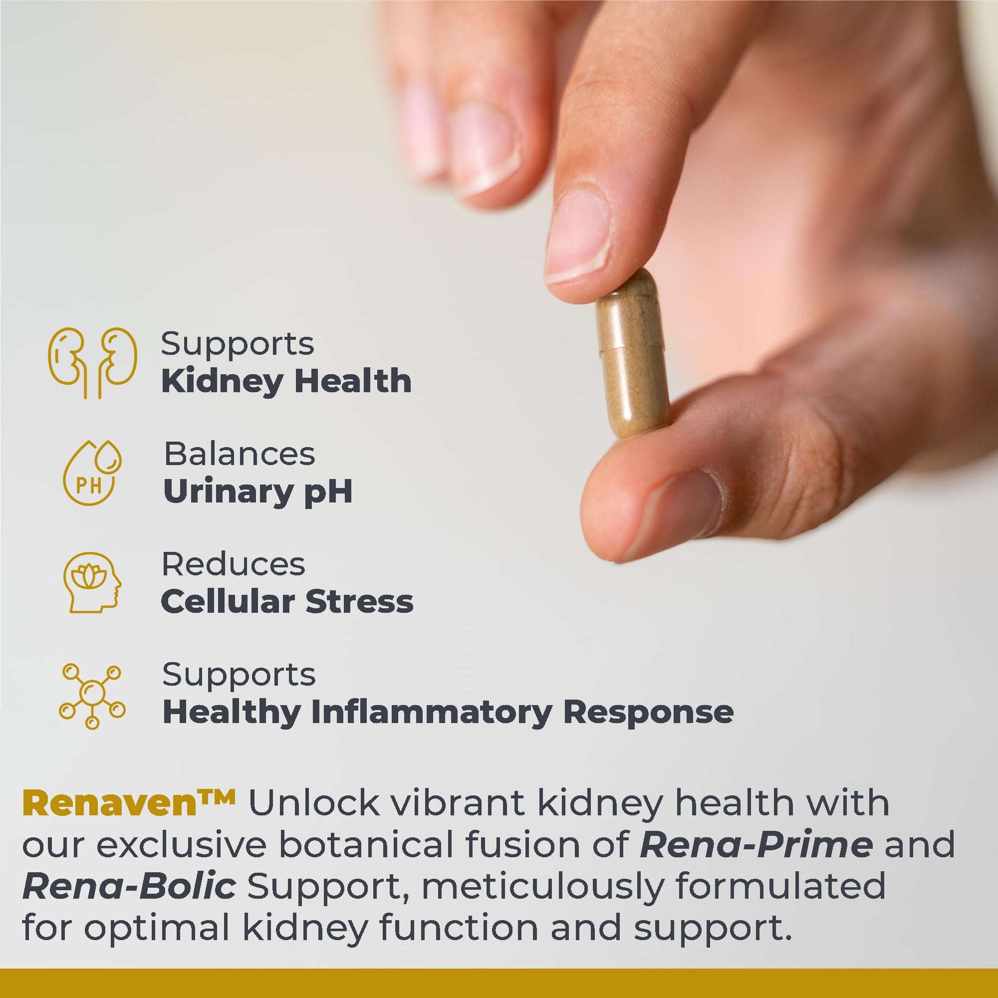 Premier Research Labs RenaVen - Premier Kidney Support for Kidney Cleanse Detox and Repair | Improve Kidney Function and Urinary Support with Fermented Cordyceps - 60 Plant-Source Capsules Premier Research Labs buy supplements canada