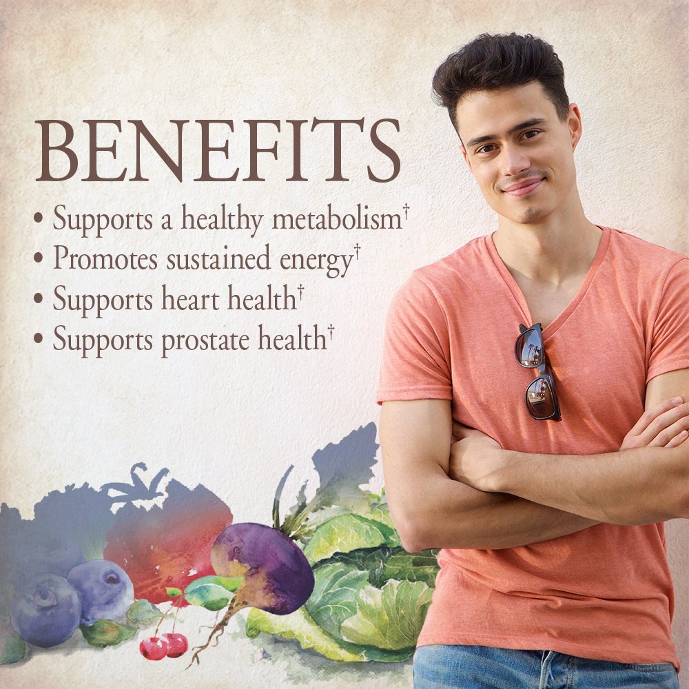 Garden of Life Organics Whole Food Multivitamin for Men, 60 Tablets, Vegan Mens Vitamins and Minerals for Health and Well-Being Garden of Life buy supplements canada