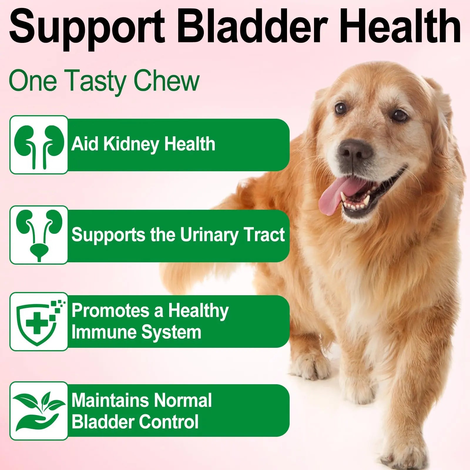 Dog UTI Treatment - Urinary Tract Infection Treatments, Kidney+Bladder Support Supplement, Natural Cranberry Extract for Dogs, Supports Urinary and Digestive Health (2 Fl Oz (Pack of 2)) Onznoz buy supplements canada