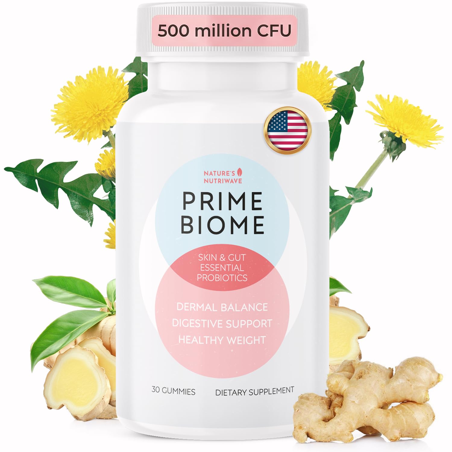 Nature’s NutriWave PrimeBiome Probiotic Gummies – Plant-Based Blend with Inulin, Lion’s Mane, Ginger & More– Non-GMO, No Stimulants, GMP Certified – 30 Gummies, 1 Month Supply Nature’s NutriWave buy supplements canada