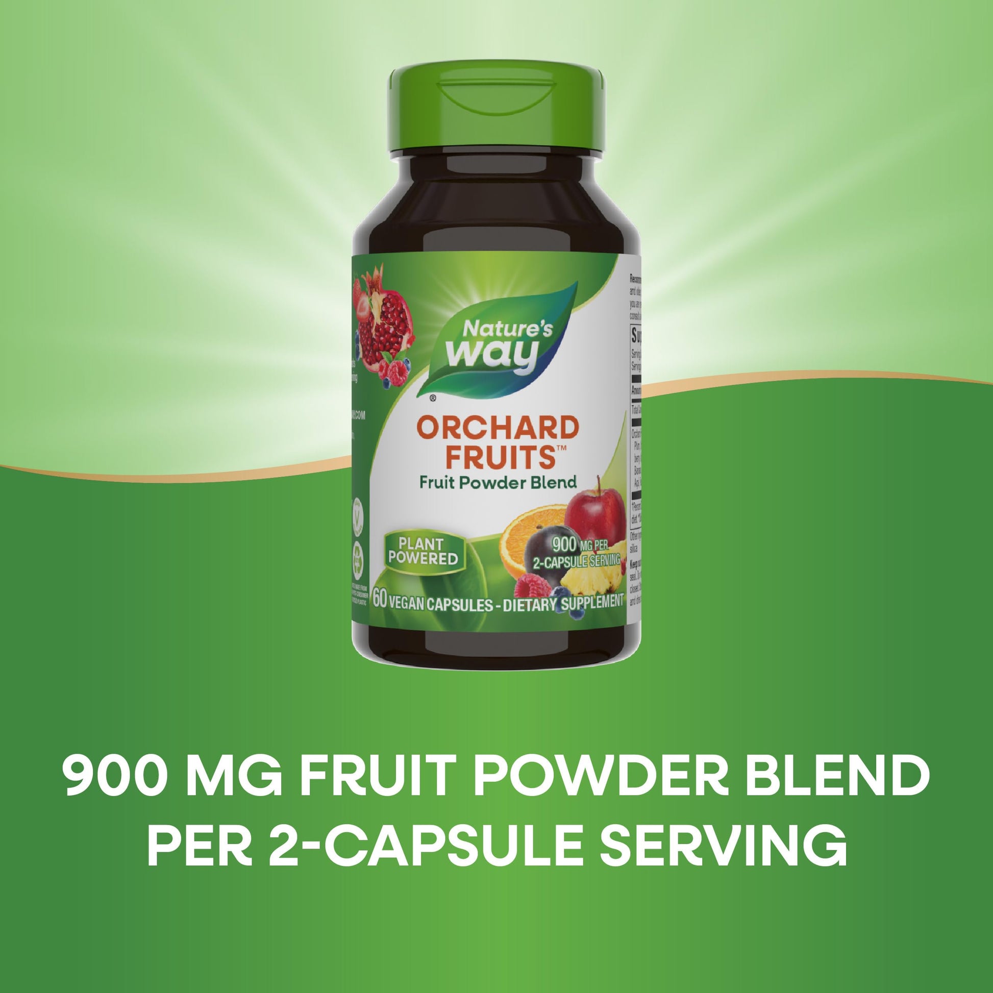 Nature's Way Orchard Fruits, Fruit Powder Blend, Contains 12 Different Fruits, 900mg Per 2-Capsule Serving, 60 Capsules Nature's Way buy supplements canada