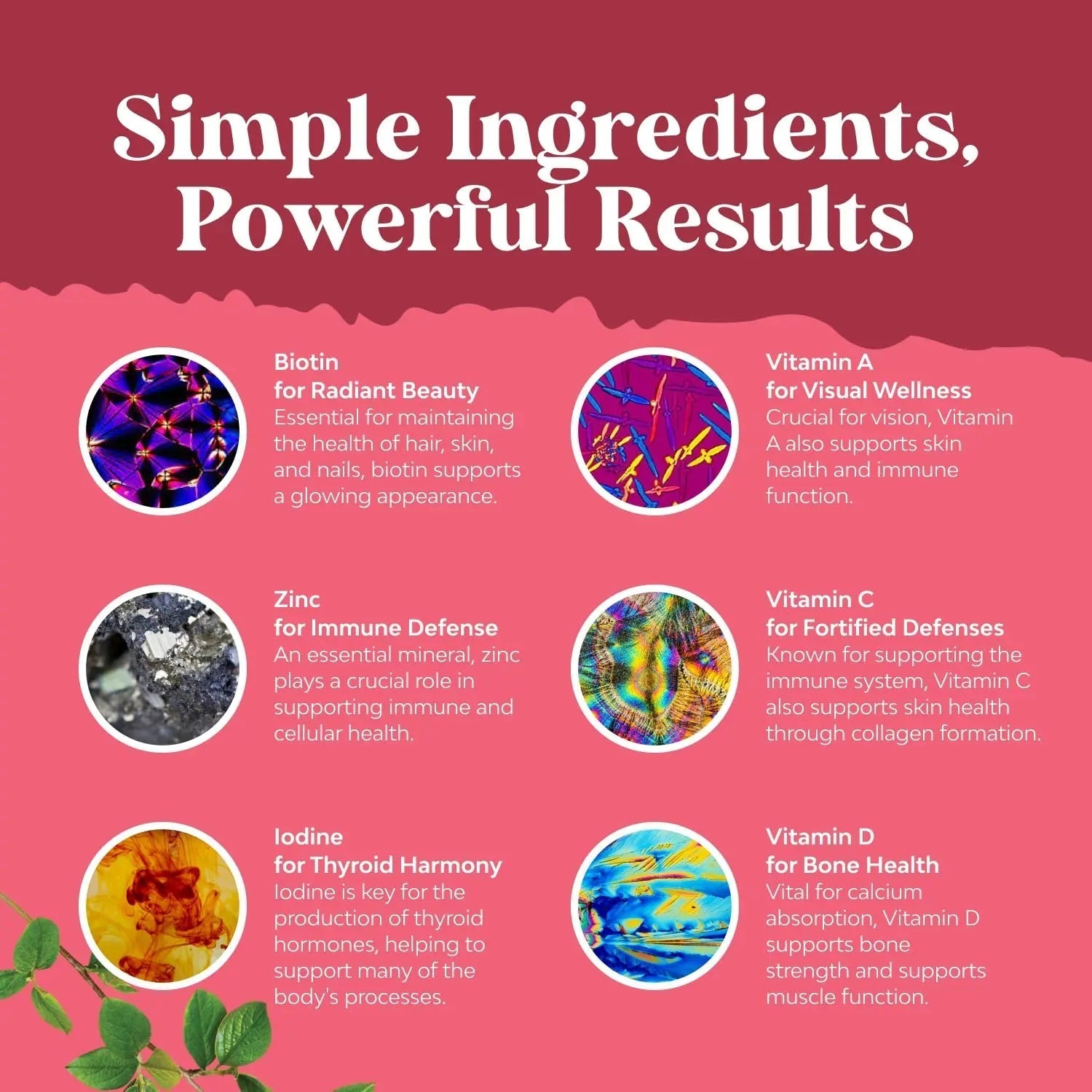 Delicious Daily Multivitamin for Women Gummies - Women's Multivitamin Gummies for Adults Energy and Immunity Natures Craft buy supplements canada