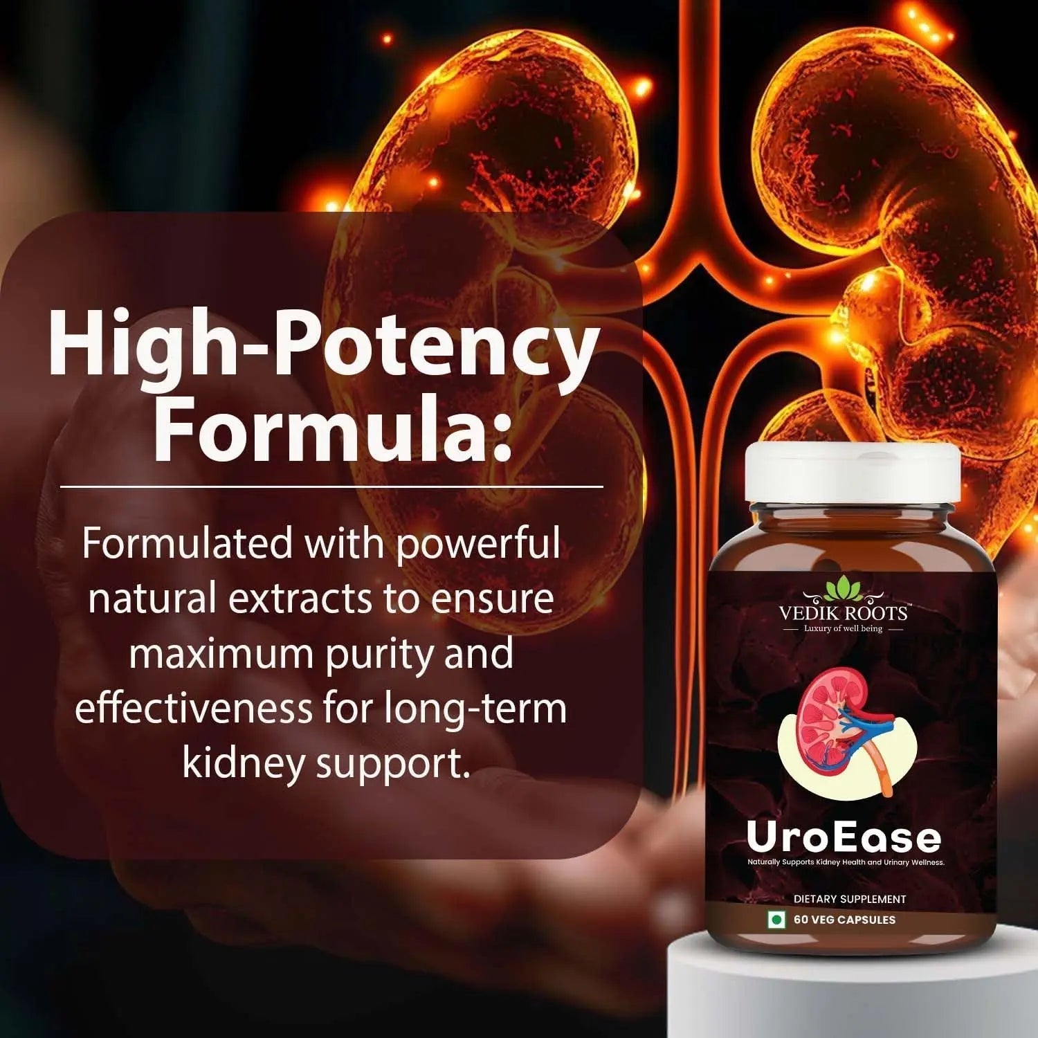 VEDIKROOTS UroEase | Ayurvedic Herbal Supplement for Kidney Health & Uric Acid Levels | Supports Urinary Tract Health | 60 Veg Capsules VEDIKROOTS buy supplements canada