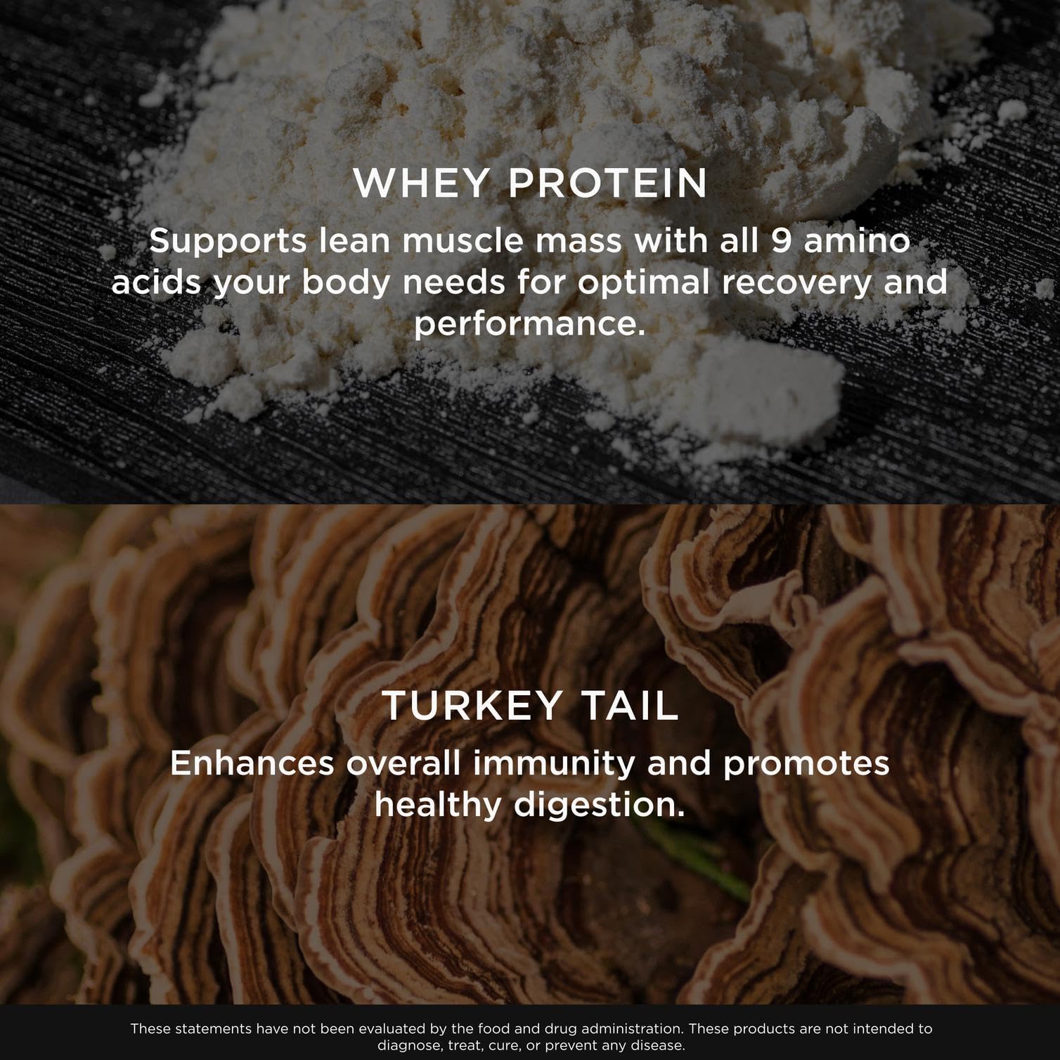 The Genius Brand Protein Powder - Chocolate + Adaptogenic Mushroom Blend - Plant-Based Protein with Reishi, Cordyceps & Lion’s Mane - Daily Muscle Recovery & Immune Support - 20 Servings The Genius Brand buy supplements canada