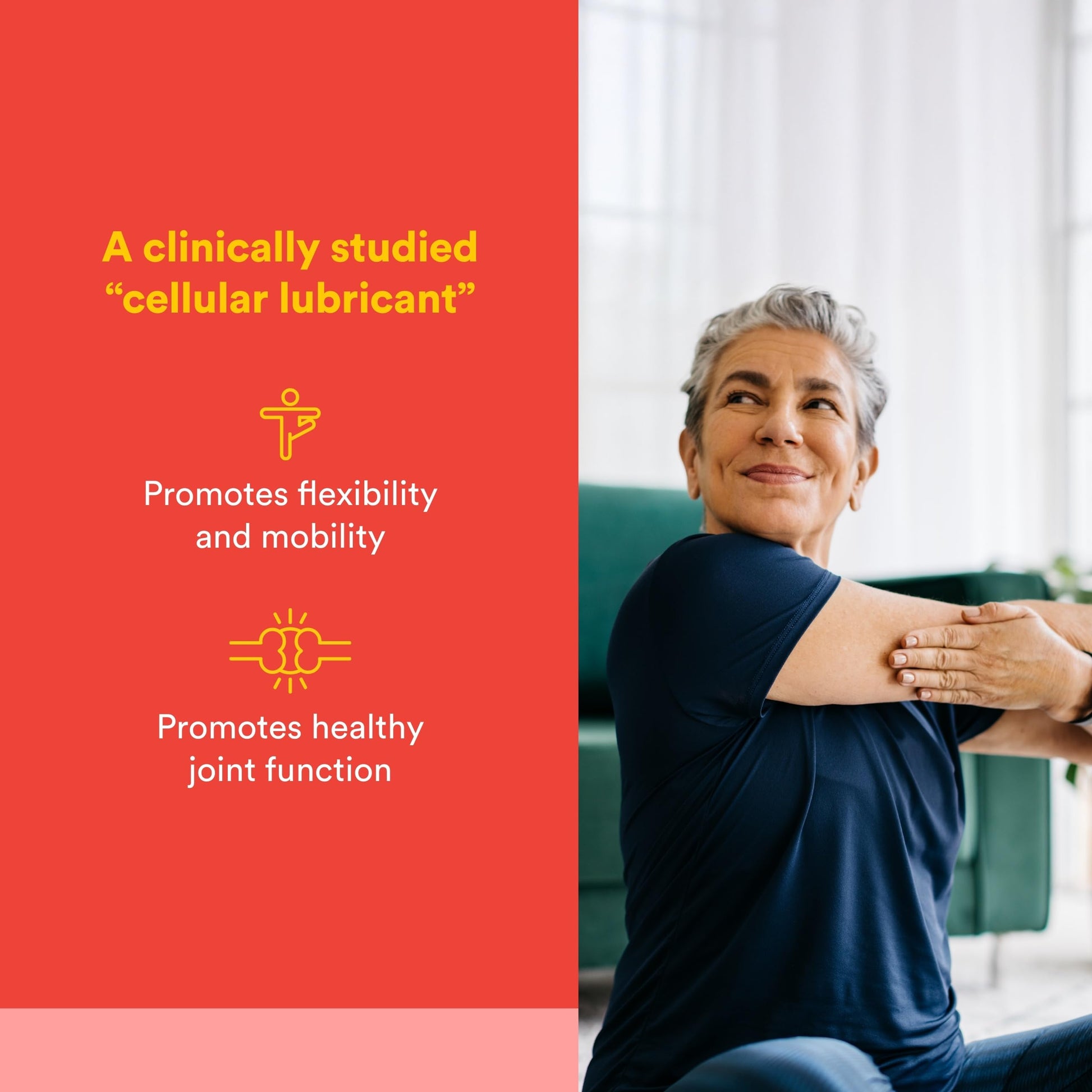 Natural Factors, Celadrin Joint Health, Promotes Flexibility, Mobility and Joint Function, 90 Softgels Natural Factors buy supplements canada