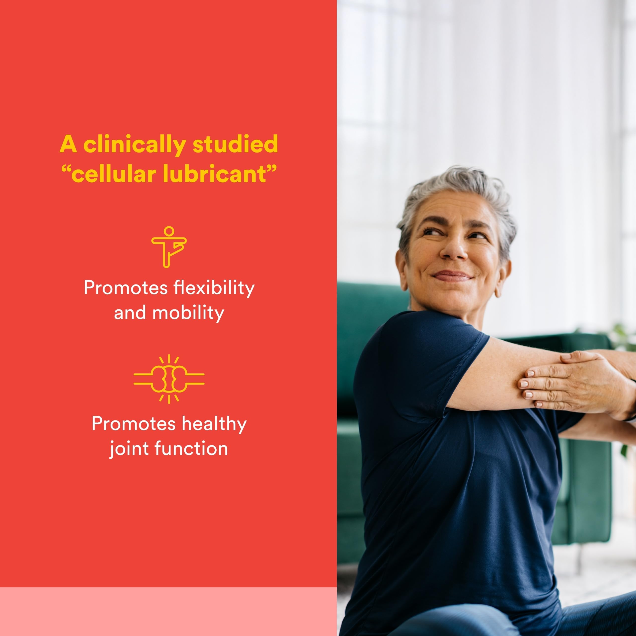 Natural Factors, Celadrin Joint Health, Promotes Flexibility, Mobility and Joint Function, 90 Softgels Natural Factors buy supplements canada