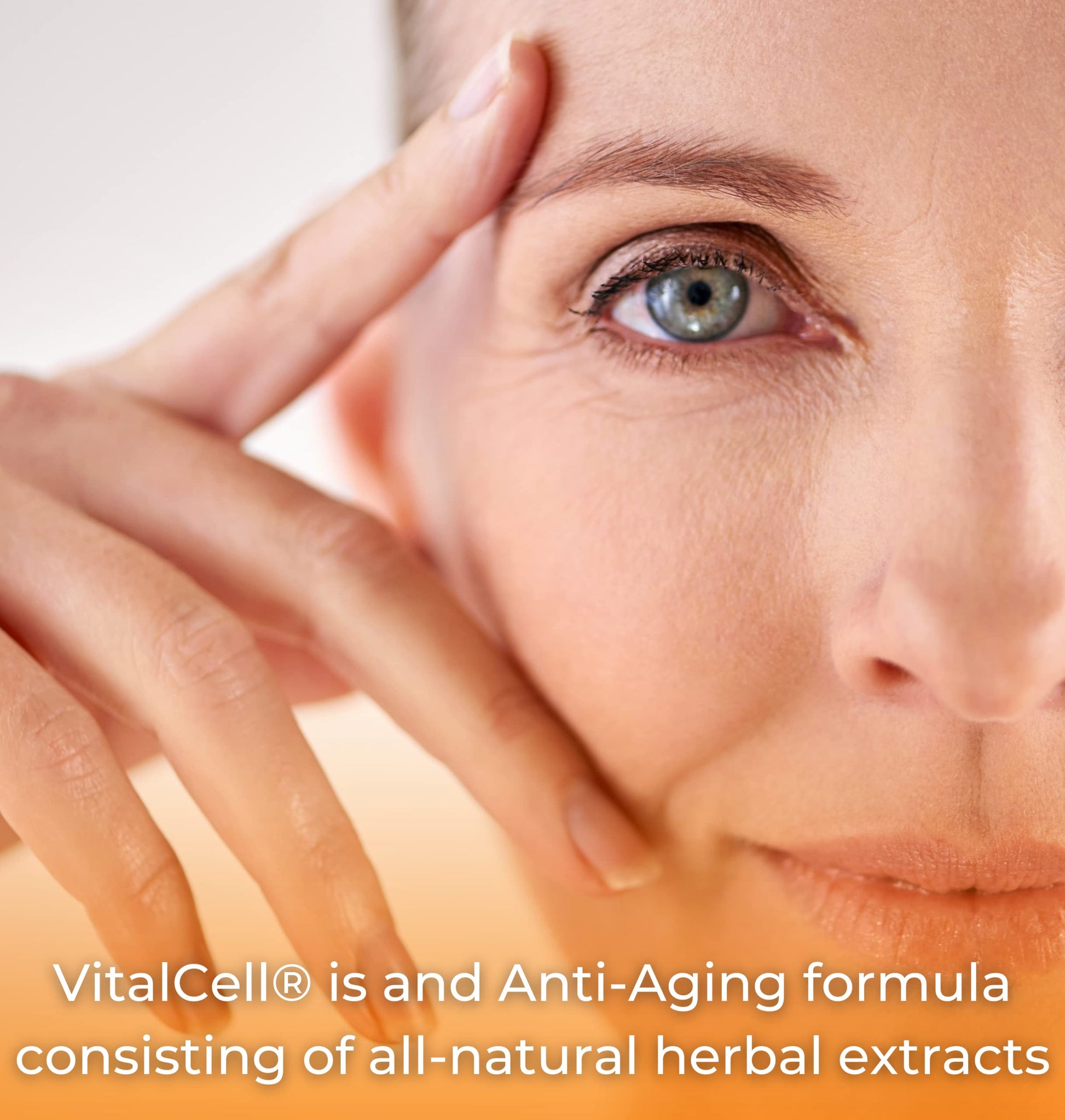 Vital Cell Natural Anti-Aging Supplement for Men and Women, Supporting Circulation and Healthy Organ Function (180 Vegetarian Capsules) Tango buy supplements canada