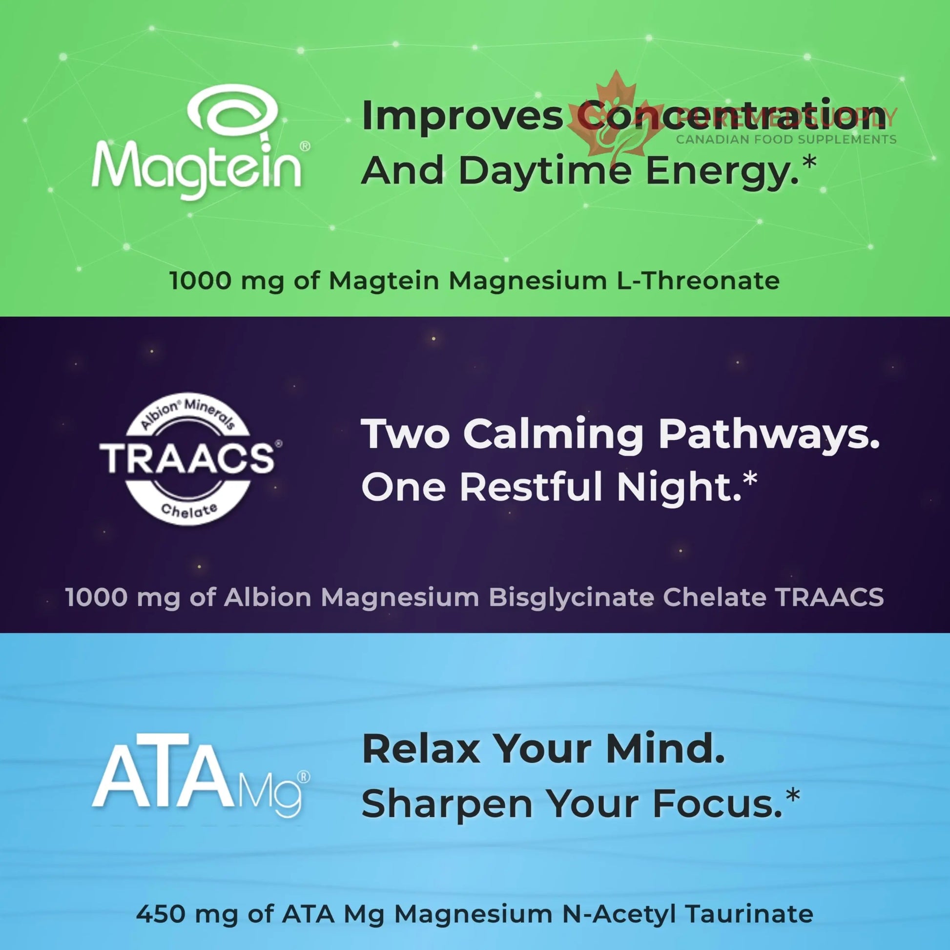 You Vites Threonix Triple Magnesium Complex - Magtein L-Threonate, Bisglycinate Chelate TRAACS & ATA Mg - Brain, Sleep, Mood & Focus Support - High Absorption, Gentle on Stomach - 120 Capsules You Vites buy supplements canada
