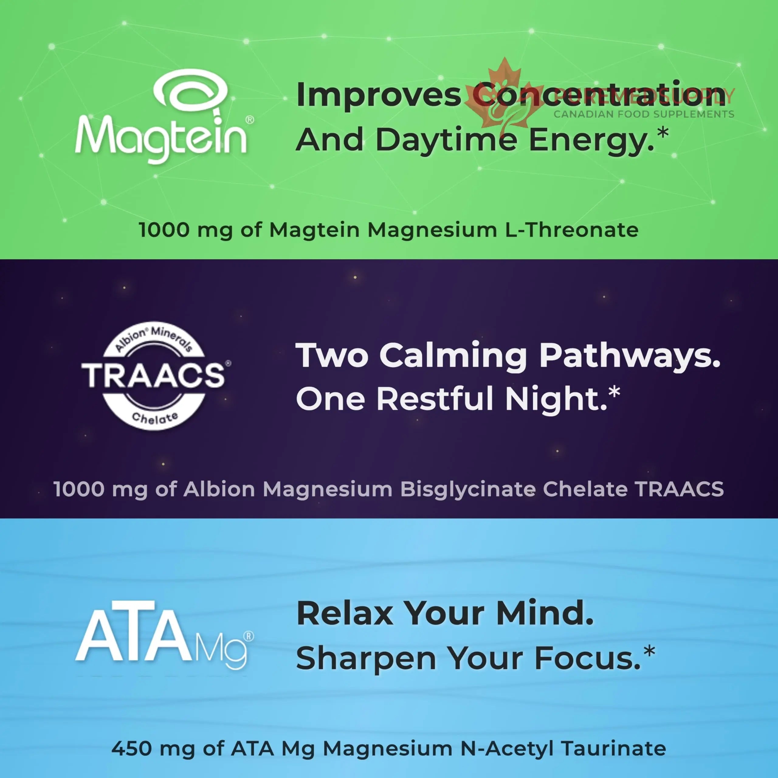 You Vites Threonix Triple Magnesium Complex - Magtein L-Threonate, Bisglycinate Chelate TRAACS & ATA Mg - Brain, Sleep, Mood & Focus Support - High Absorption, Gentle on Stomach - 120 Capsules You Vites buy supplements canada