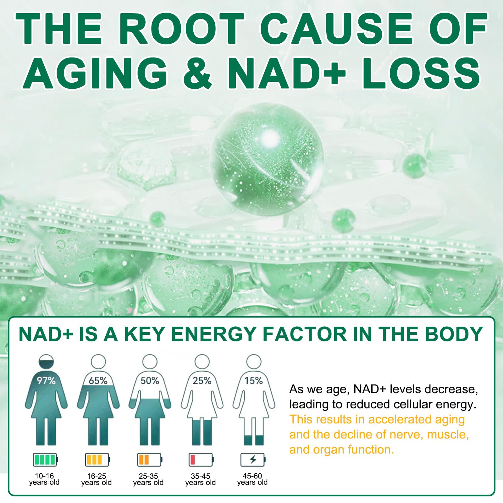 NAD Supplement 120 Capsules, Liposomal Nicotinamide Riboside, Resveratrol, Quercetin, NAD Nicotinamide Riboside Resveratrol 910mg for Women & Men, NAD Supplement for Anti Aging and Cell Regeneration KZUO buy supplements canada