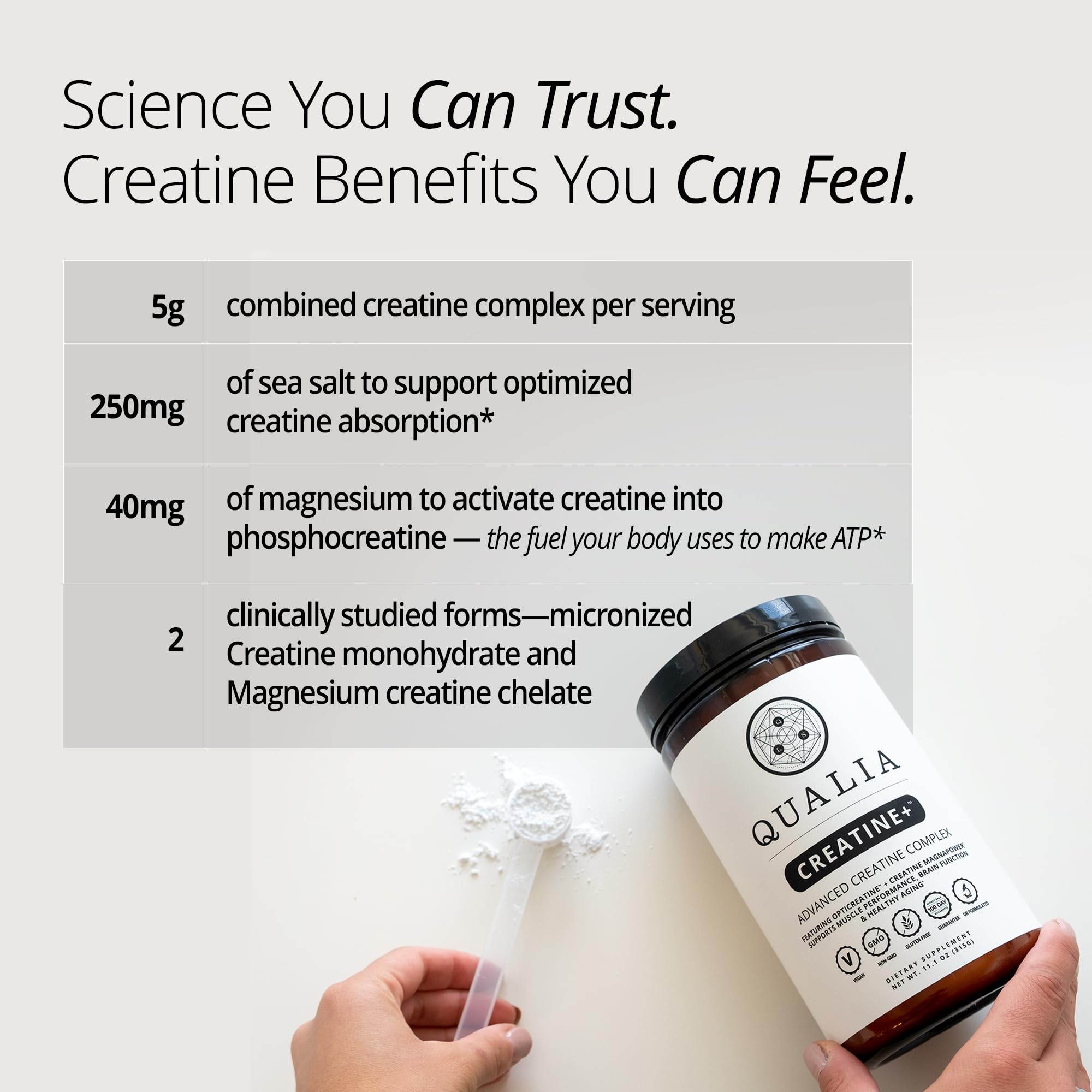 Qualia Creatine | Advanced Creatine Complex | 2 Sources + Magnesium | Optimized Absorption | Muscle Performance, Brain Function, & Healthy Aging QUALIA LIFE SCIENCES buy supplements canada