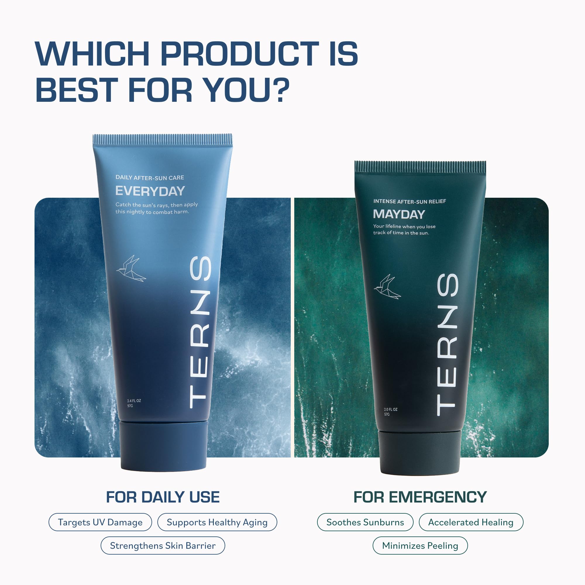 TERNS Everyday Advanced Moisturizer for Face & Body, Daily Skin Care Lotion for Men & Women, Marine Bioactive Skin Cream, Supports Firmness & Hydration, Travel Friendly, Natural Fragrance, 3.4 Oz TERNS buy supplements canada