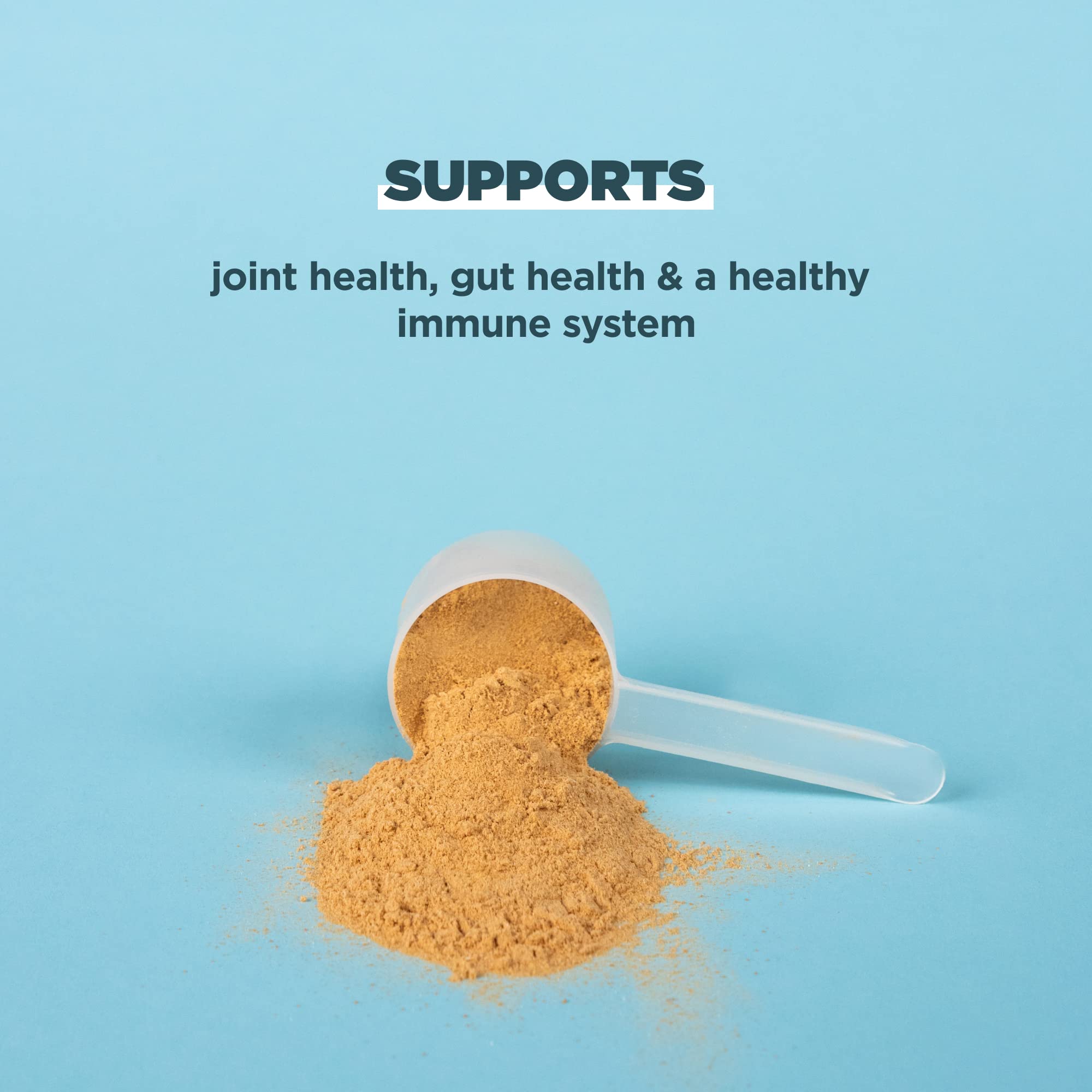 Ancient Nutrition Bone Broth Protein Powder, Salted Caramel, 19g Protein per Serving Ancient Nutrition buy supplements canada