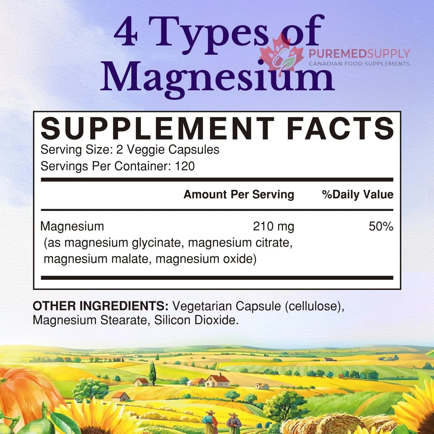 Vitalitown Magnesium Complex | Chelated Easily Absorbed Magnesium Glycinate Citrate Malate | Buffered | 210mg Elemental Mag | Sleep, Nerve, Digestion, Energy | Non-GMO 240 Veg Caps Vitalitown buy supplements canada