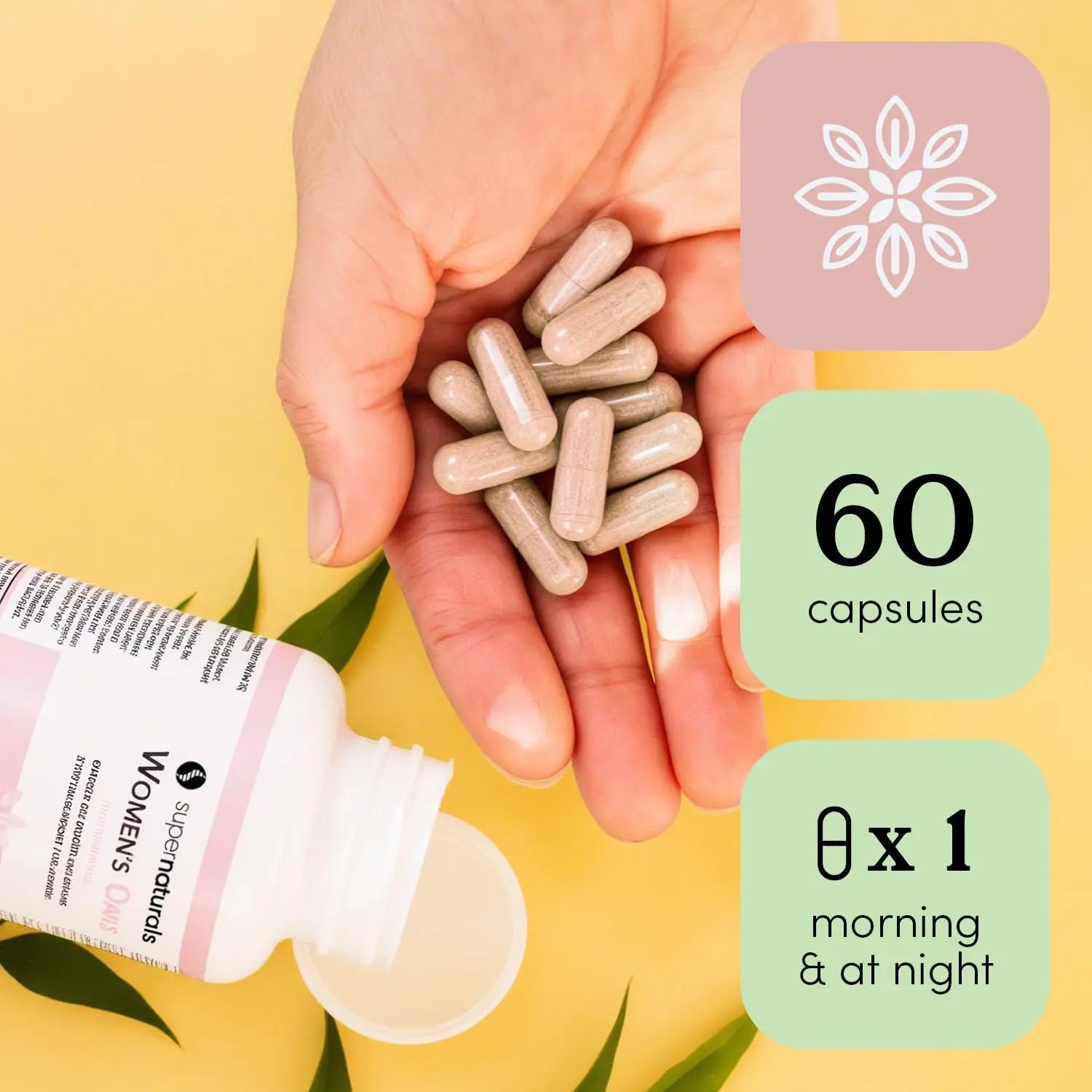 Super Naturals Health, Multivitamin for Women, Immune Defense Supplement Multivitamin Capsules, Vegan Supplements for Women - 60 Capsules JLM NUTRITIONALS buy supplements canada