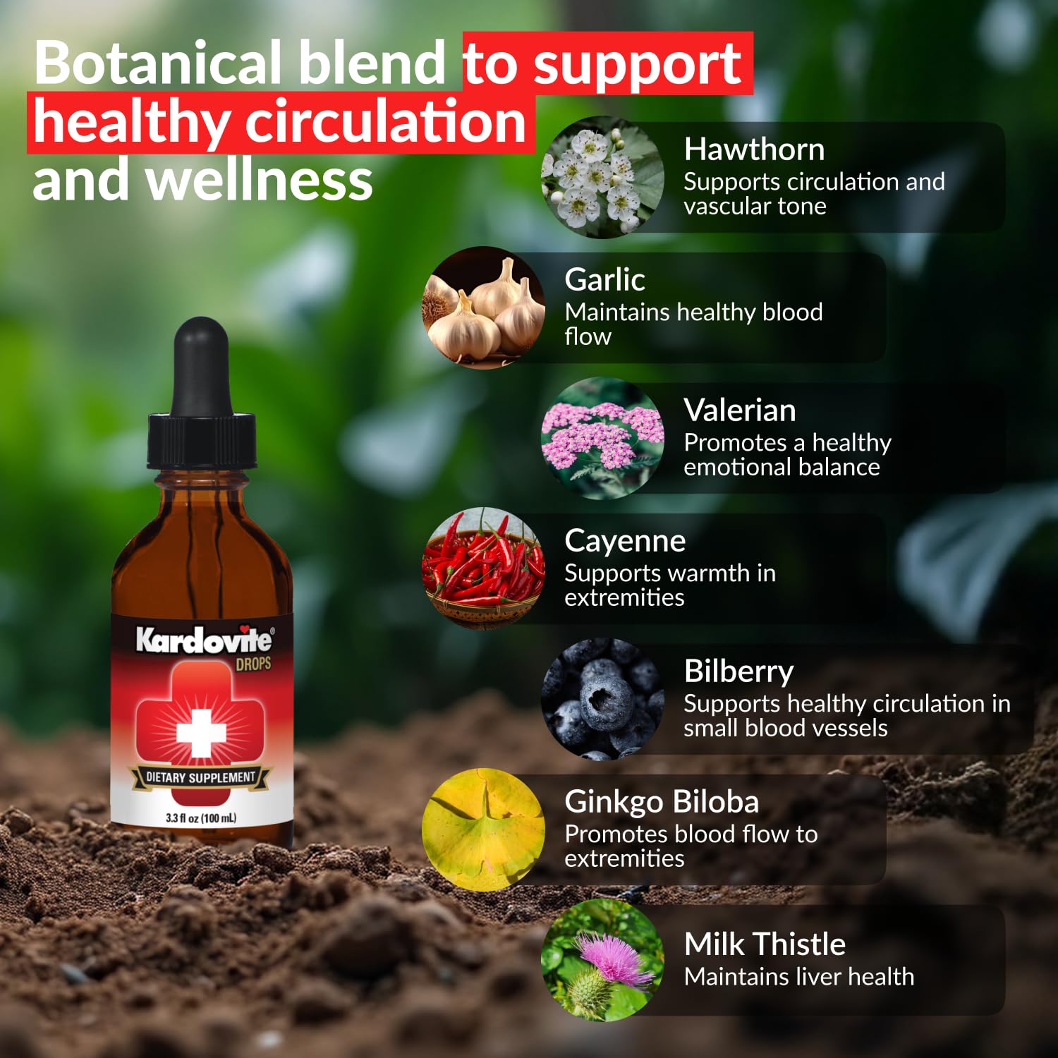 Kardovite Herbal Circulation Support Drops 100ml | Supports Circulatory Wellness with Hawthorn, Garlic, Ginkgo, Cayenne, Milk Thistle, Bilberry & Valerian | Supports Vitality & Daily Wellness Kardovite buy supplements canada