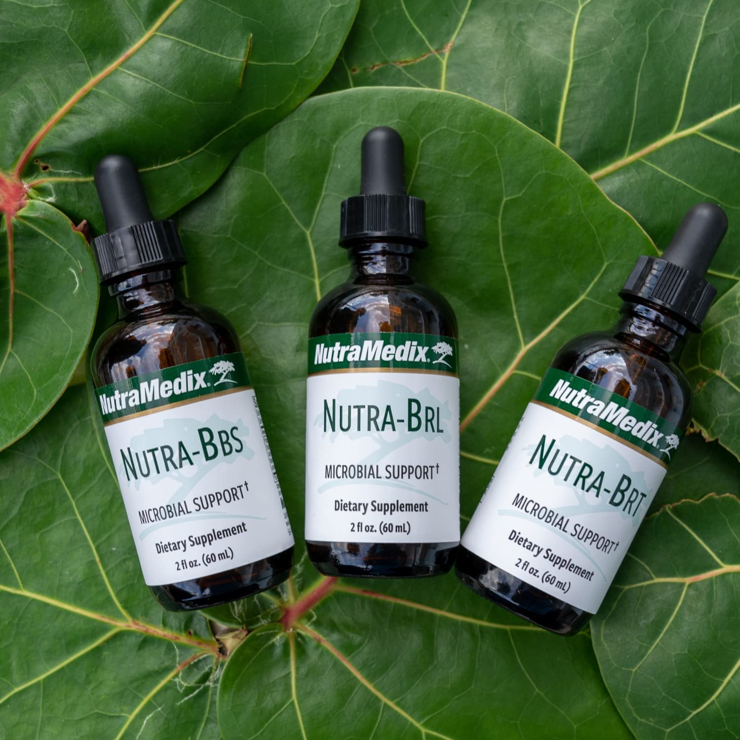 Nutramedix Nutra BRT - Liquid Herbal Supplement for Gut Health & Immune Support - Cumanda Bark & Houttuynia Leaf for Digestive Health - Immune System Booster Supplement (60mL) NutraMedix buy supplements canada
