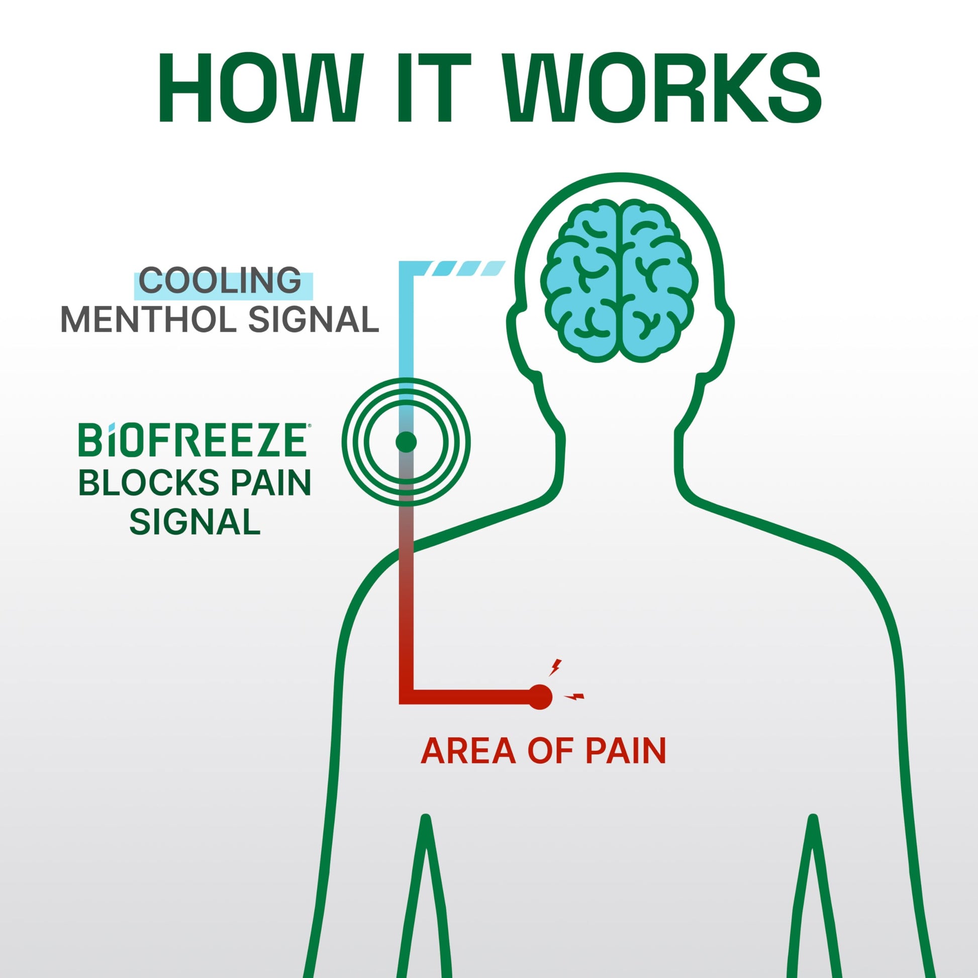 Biofreeze Professional Pain Relief Gel, 4 oz Tube (3-Pack) - Fast, Cooling Relief for Arthritis, Muscle Soreness, Joint, Back, Neck, Knee Pain & More Biofreeze buy supplements canada