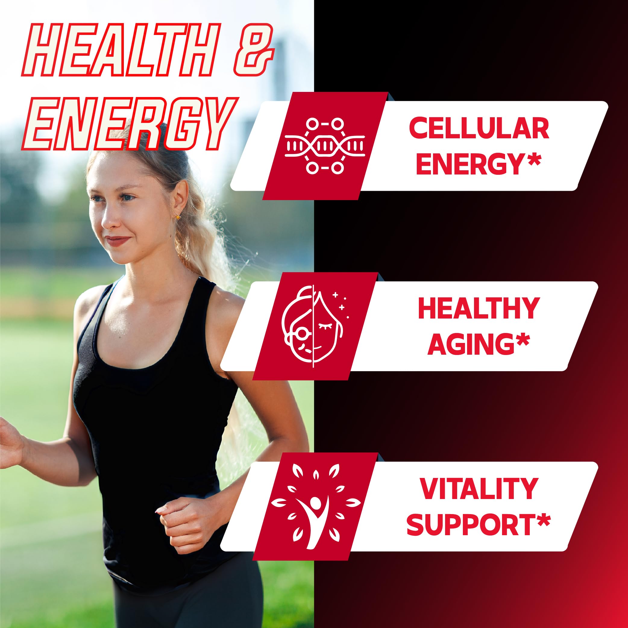 DEDICAD 11in1 NAD Supplement with Nicotinamide Riboside, Quercetin, Resveratrol and 8 More - 2 Month Supply DEDICAD buy supplements canada