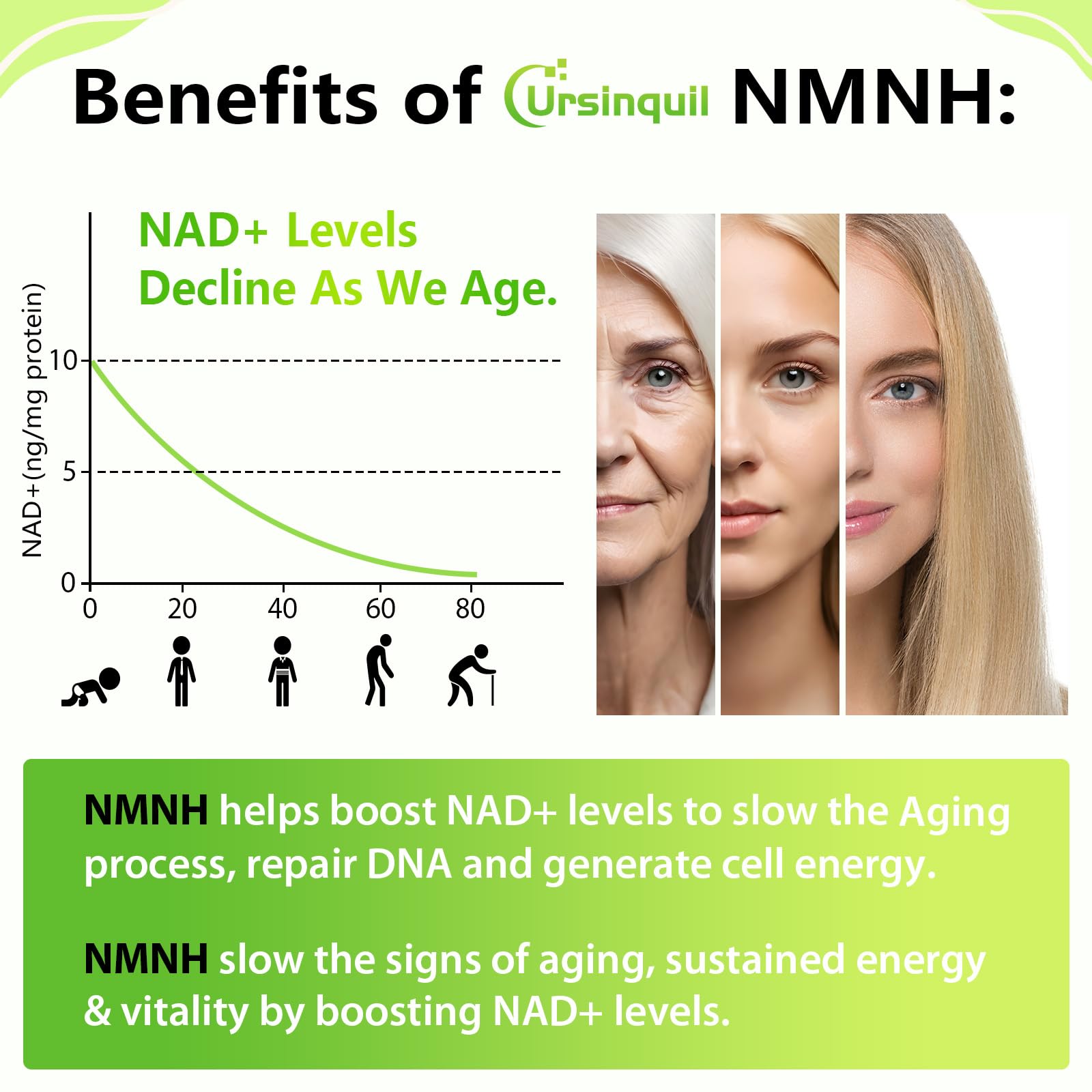 Sublingual NMNH 500mg (Dihydronicotinamide Mononucleotide) (120 Servings, NMNH 500mg per Serving) NAD Supplement to Boost NAD Levels as We Age, for Anti-Aging, Energy, Immunity, Focus - 120 Count Ursinquil buy supplements canada