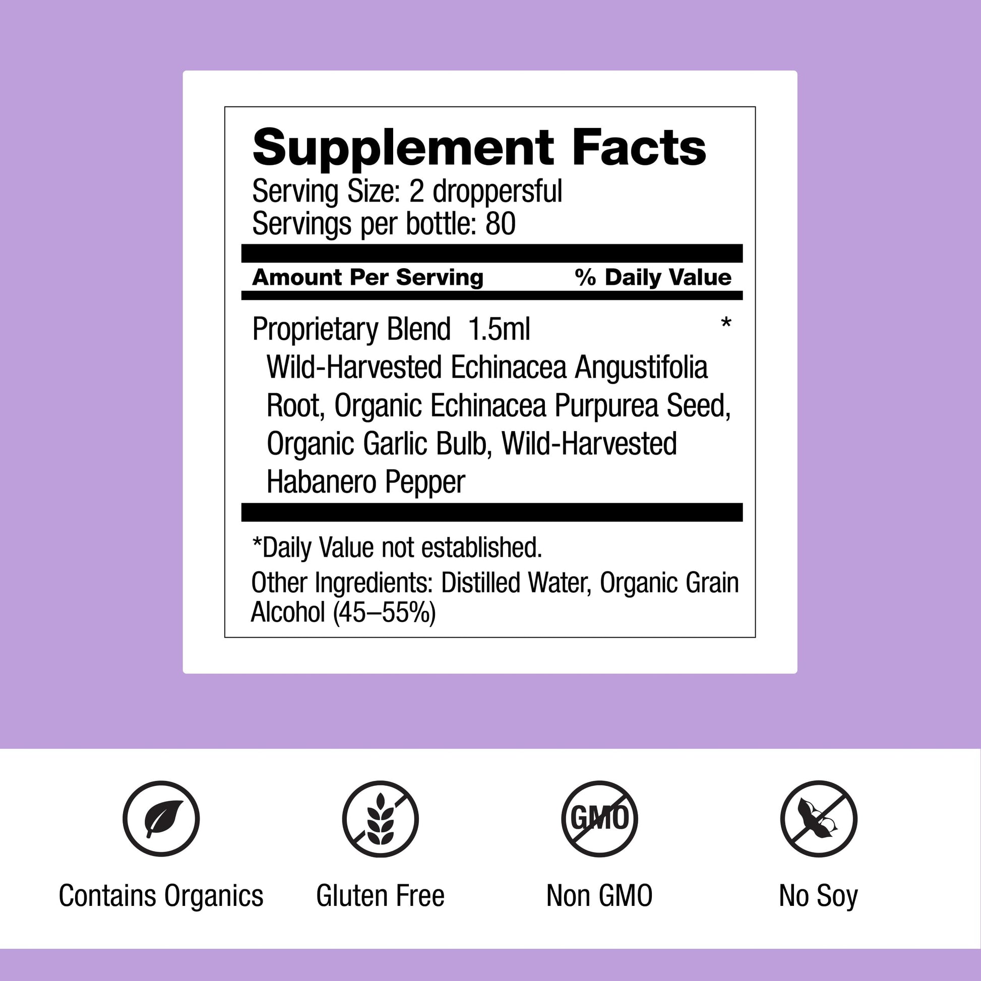 Dr. Schulze's Echinacea Plus | Echinacea Root and Seed | All Organic Extract | Gluten-Free & Non-GMO for Immune System Support | 4 oz Dr. Schulze's buy supplements canada