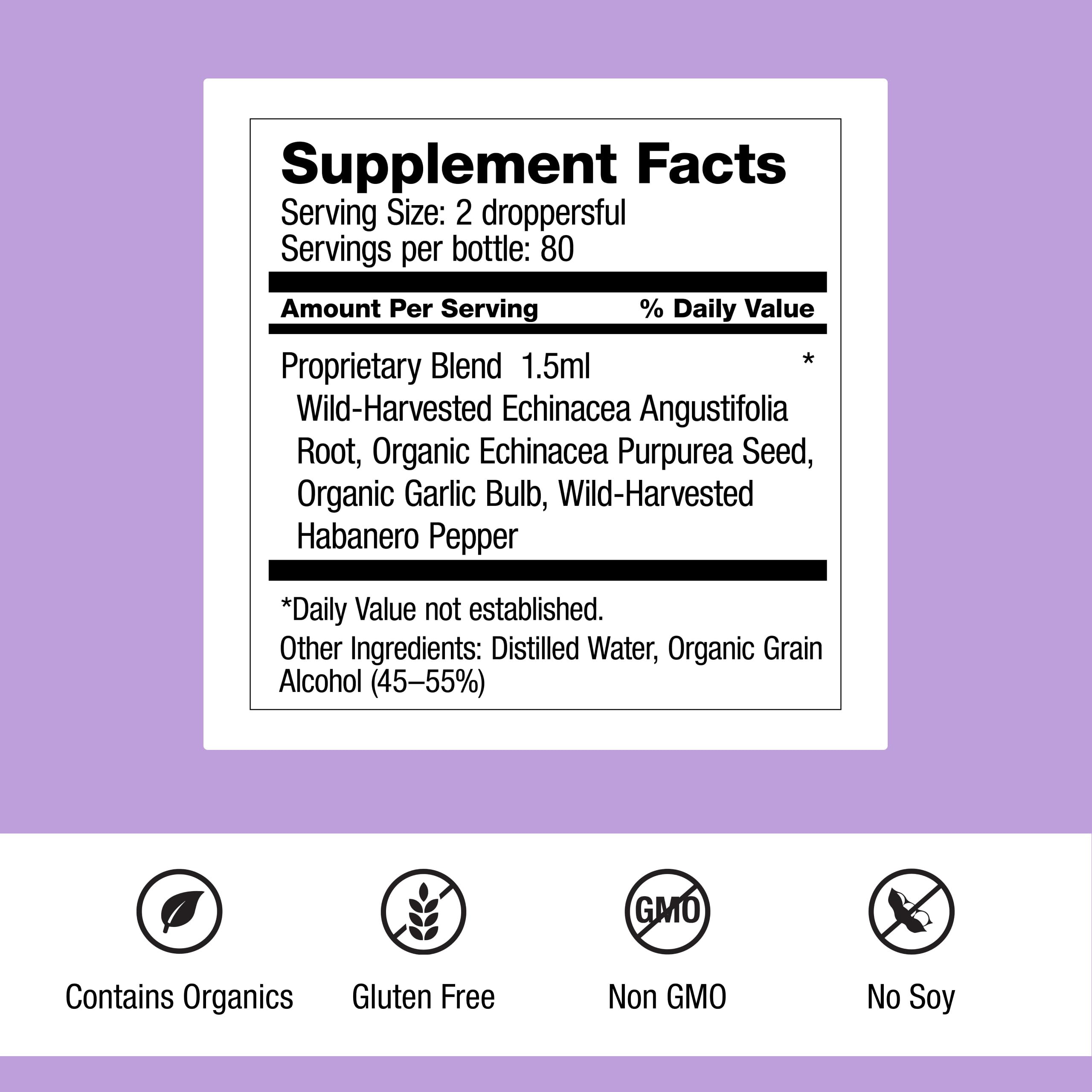 Dr. Schulze's Echinacea Plus | Echinacea Root and Seed | All Organic Extract | Gluten-Free & Non-GMO for Immune System Support | 4 oz Dr. Schulze's buy supplements canada