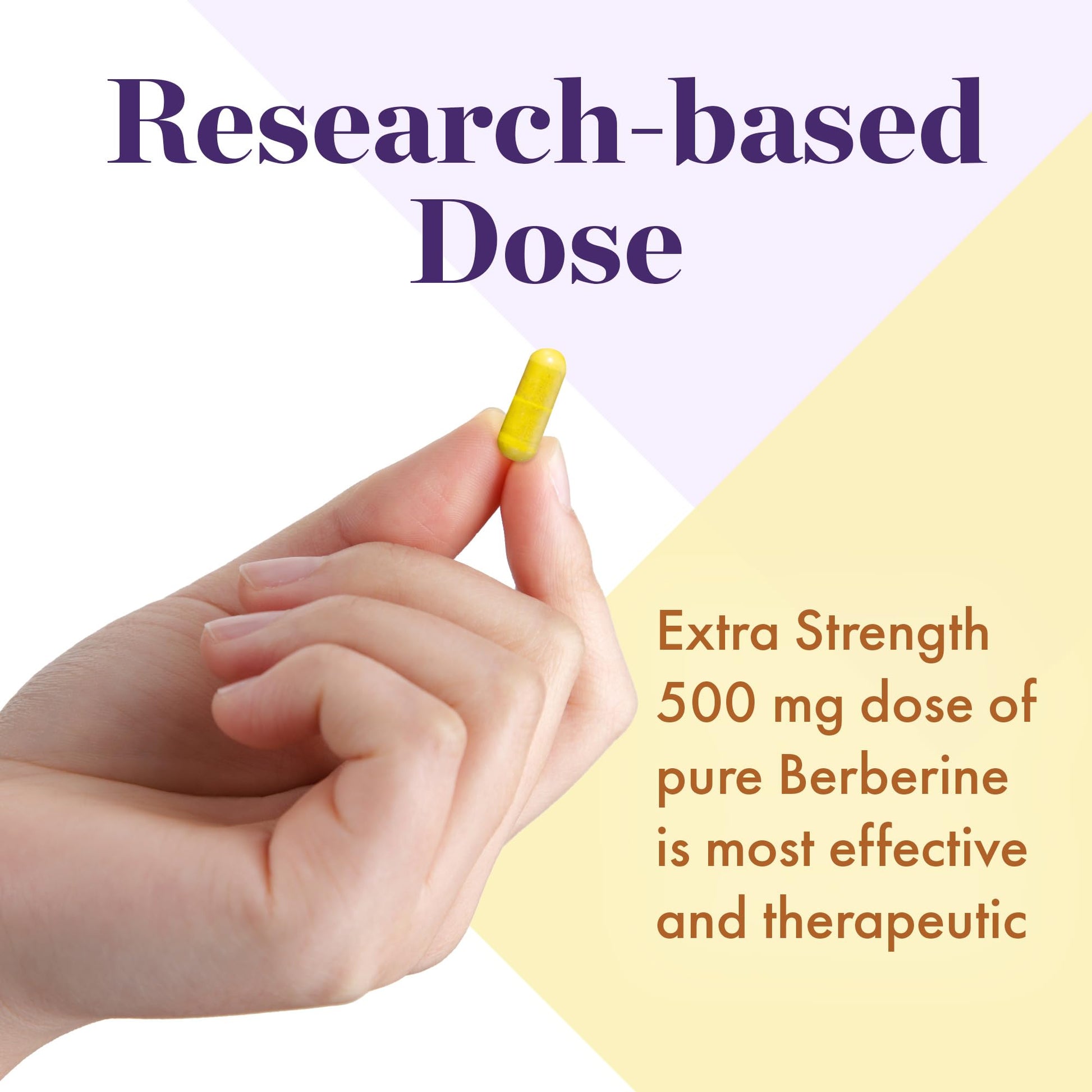 NAOMI Berberine 500mg - Immune Support & Normal LDL Cholesterol and Triglyceride NAOMI buy supplements canada