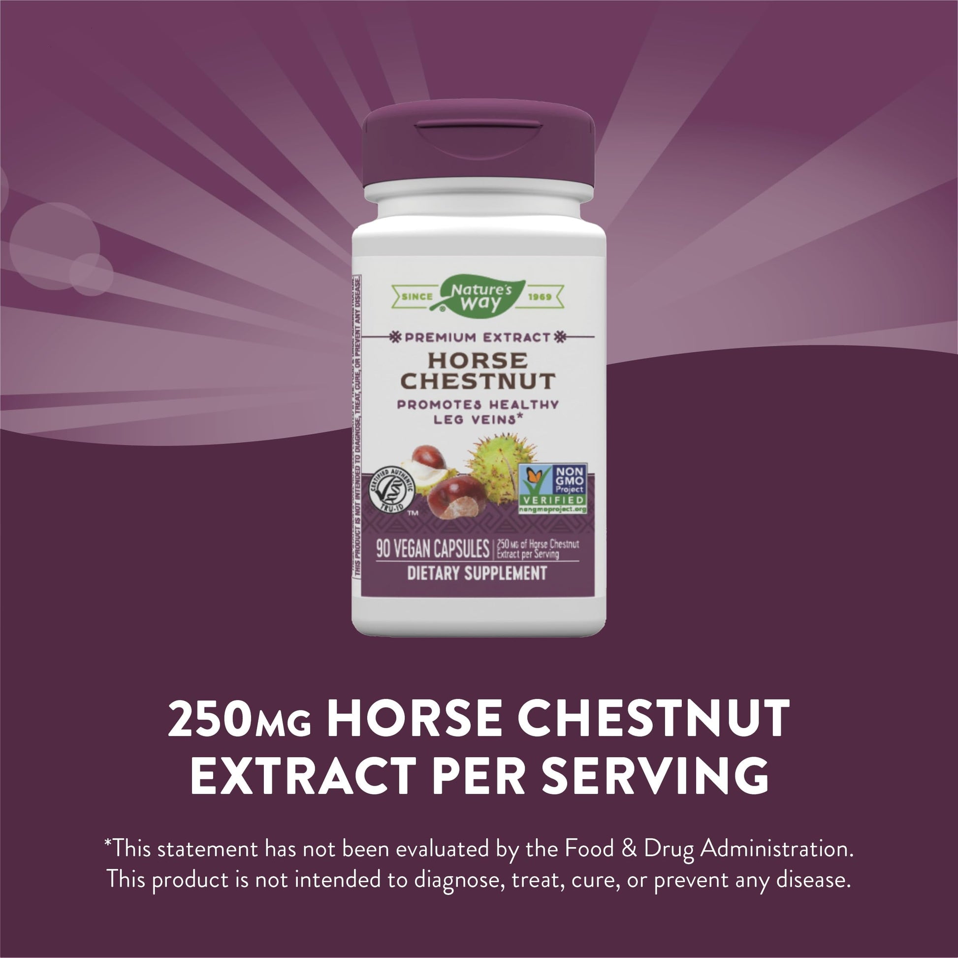 Nature's Way Standardized Horse Chestnut, Premium Extract for Healthy Veins and Blood Nature's Way buy supplements canada