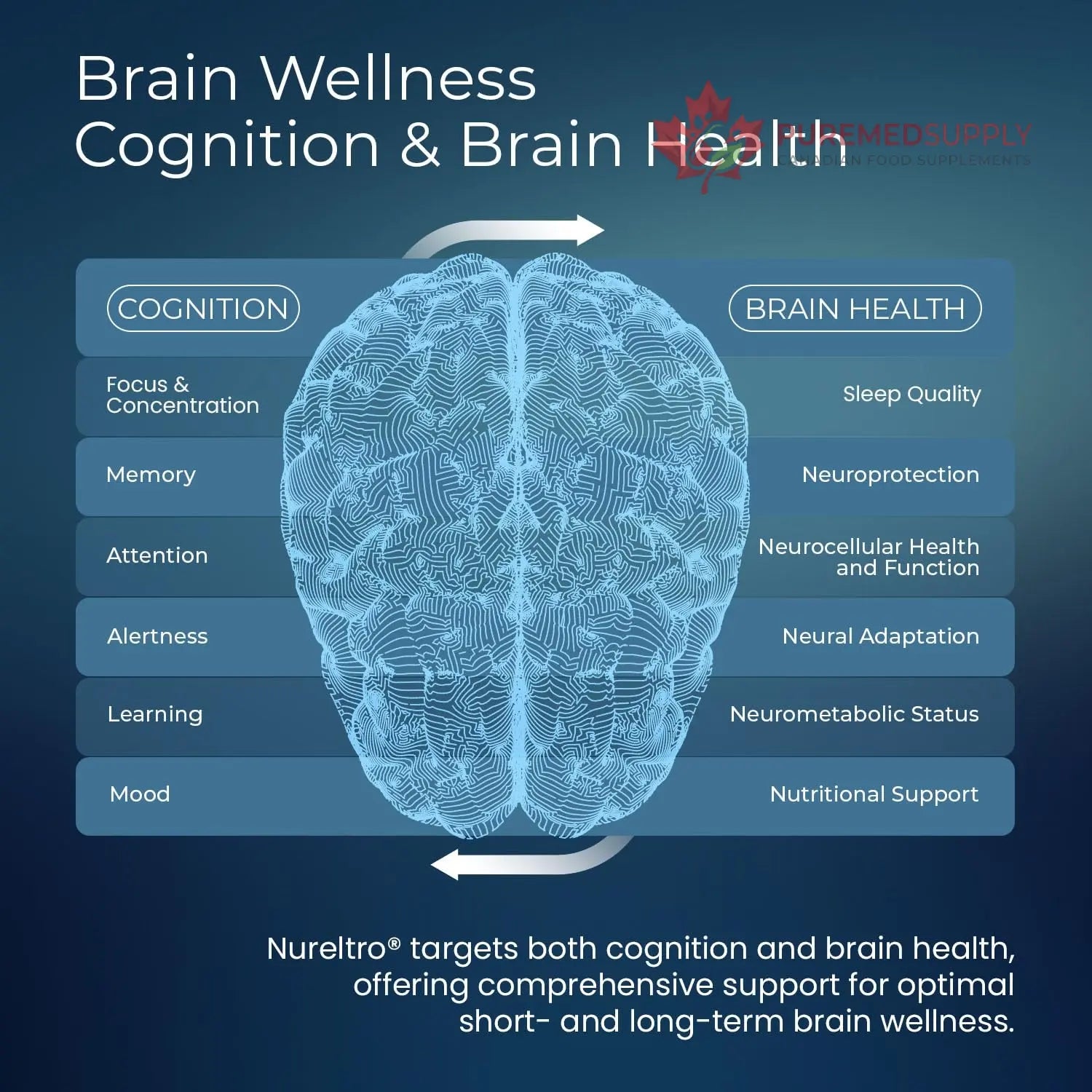 Nureltro All-in-One Nootropic Brain Supplement for Adults and Seniors w/Shoden® Ashwagandha | Supports Memory, Focus, Mood, Mental Clarity, and Brain Health - Caffeine-Free (120 Capsules) Nureltro buy supplements canada