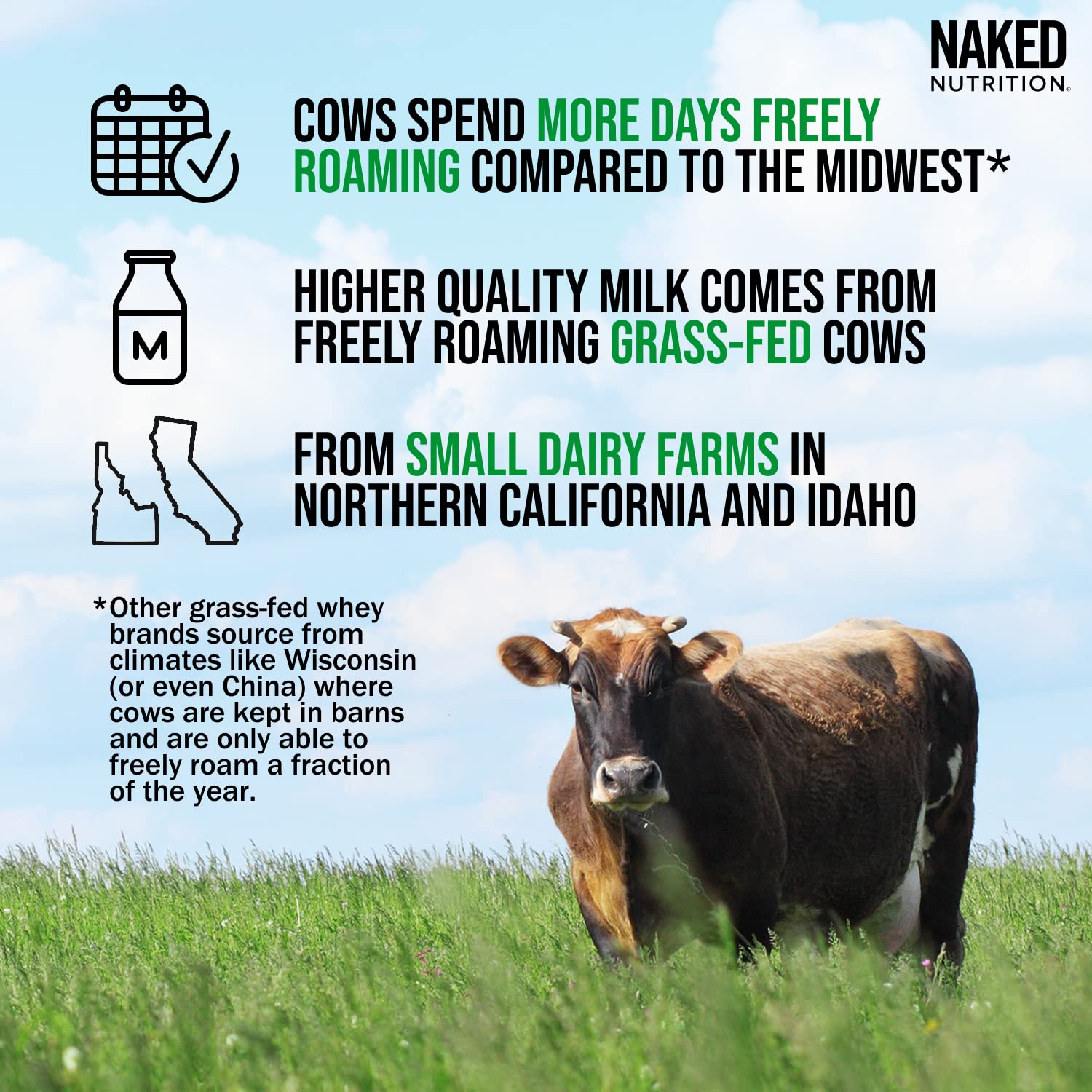 NAKED WHEY 5LB 100% Grass Fed Unflavored Whey Protein Powder - US Farms NAKED buy supplements canada