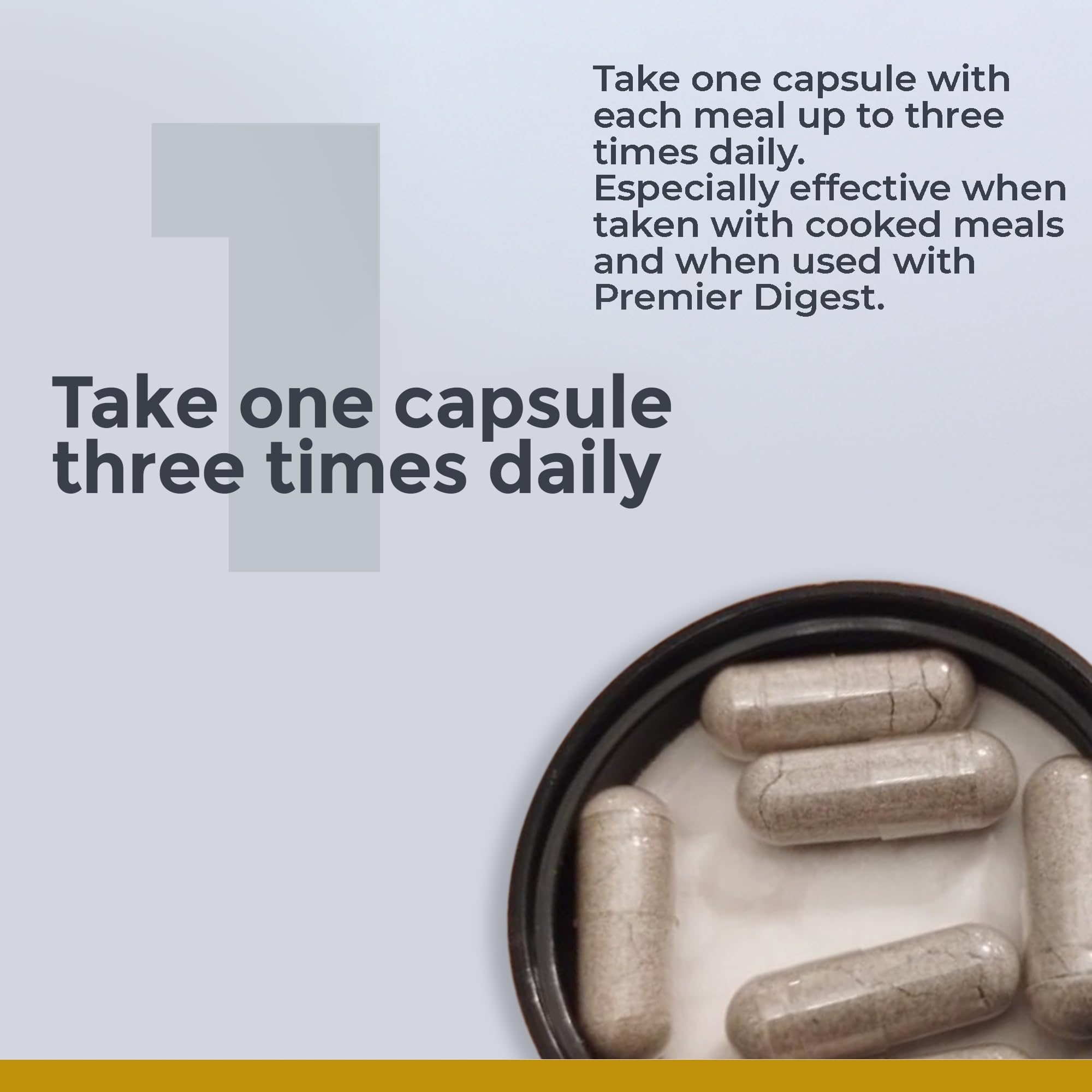 Premier Research Labs Digestase-SP - Enzymes for Digestion, Fermented Digestive Enzymes for Women & Men, Gut Health Support Pills with Peptidase, Hemicellulase - 60 Vegetarian Capsules Premier Research Labs buy supplements canada