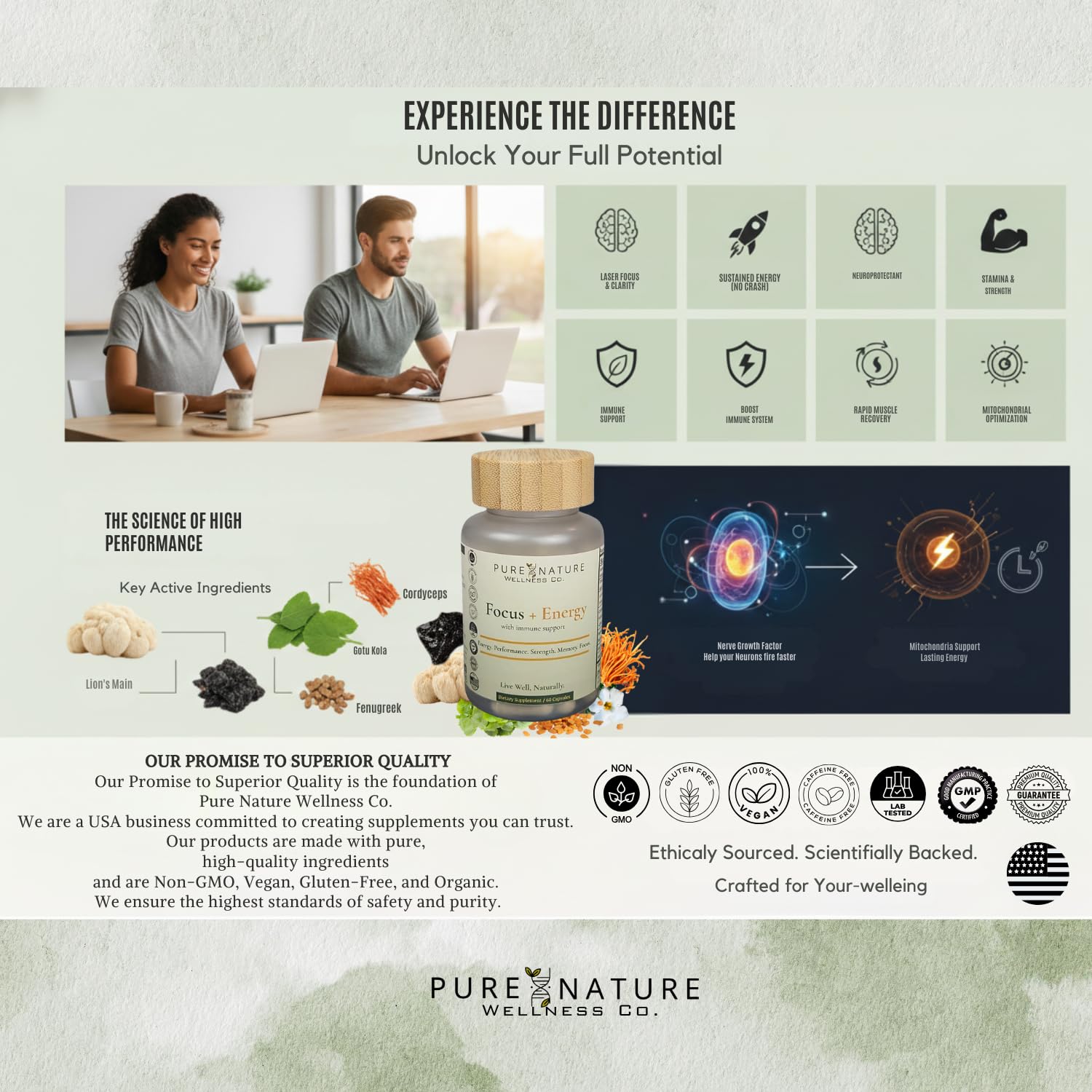 Focus + Energy + Performance Support-6-in-1 Mushroom Nootropic & Mitochondrial Complex-Advanced Brain Supplement-Natural Energy-Caffeine Free Biohack with Lion’s Mane,Cordyceps,Mumijo,Fenugreek Pure Nature Wellness Co. buy supplements canada
