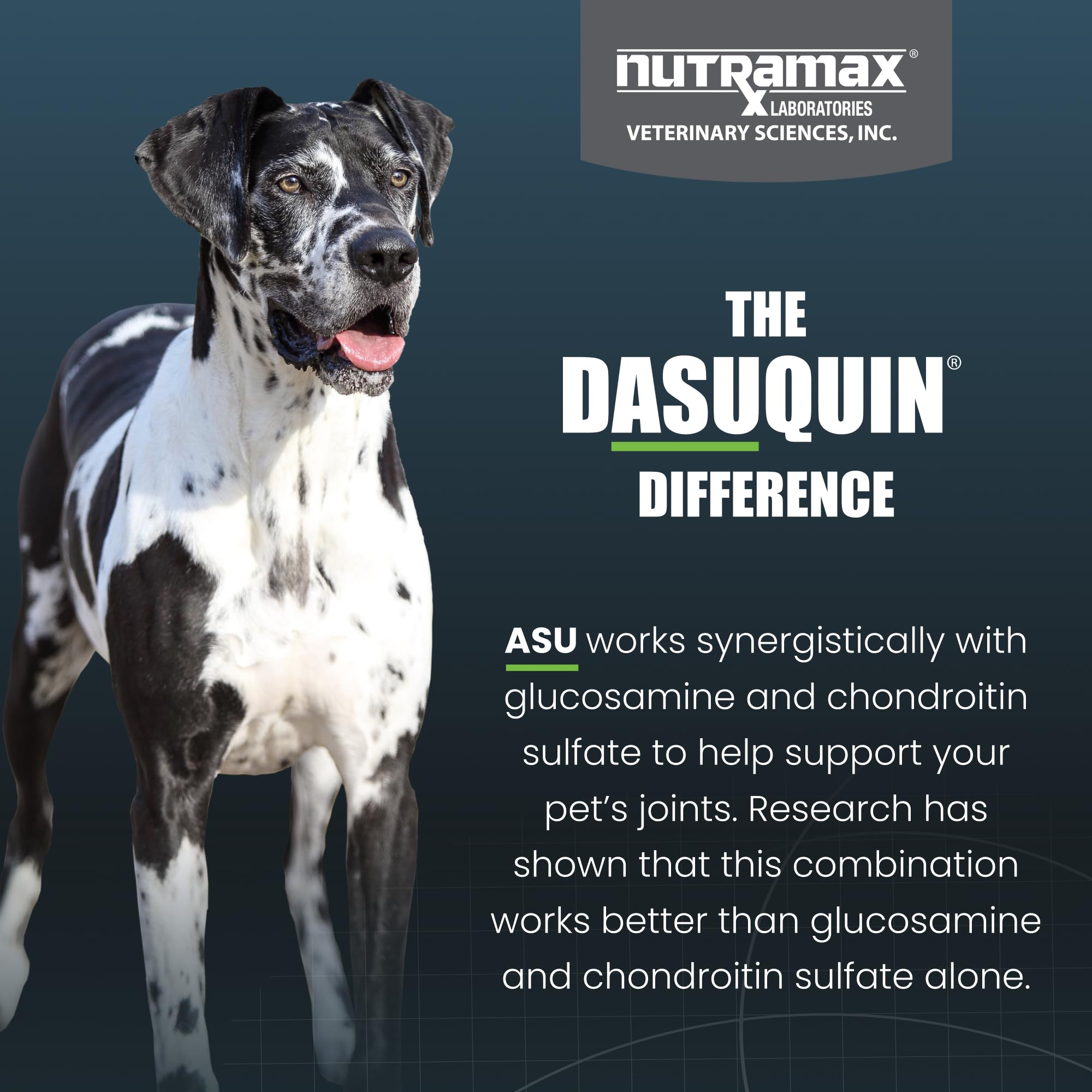 Nutramax Dasuquin for Large Dogs, Joint Health Supplement, Contains Glucosamine for Dogs, Plus Chondroitin, ASU, MSM and More, Supports Healthy Joints, Soft Chews, 150 Count Nutramax Laboratories buy supplements canada