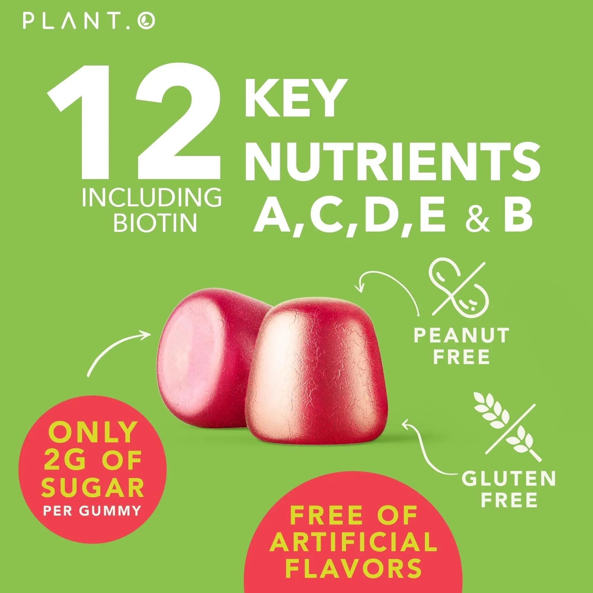 Complete Multivitamin Gummies for Adults – All-in-One Blend of Vitamin A B C D E Zinc and Biotin - Adult Vitamin Gummy for Energy and Immunity PLANT.O NUTRITION buy supplements canada