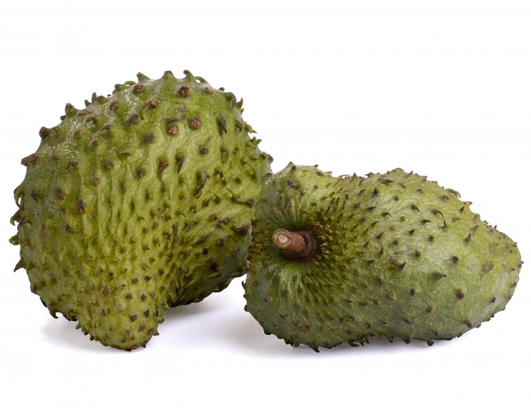 Organic Graviola Liquid Soursop Extract 4 oz Wildcrafted Tincture My Store buy supplements canada