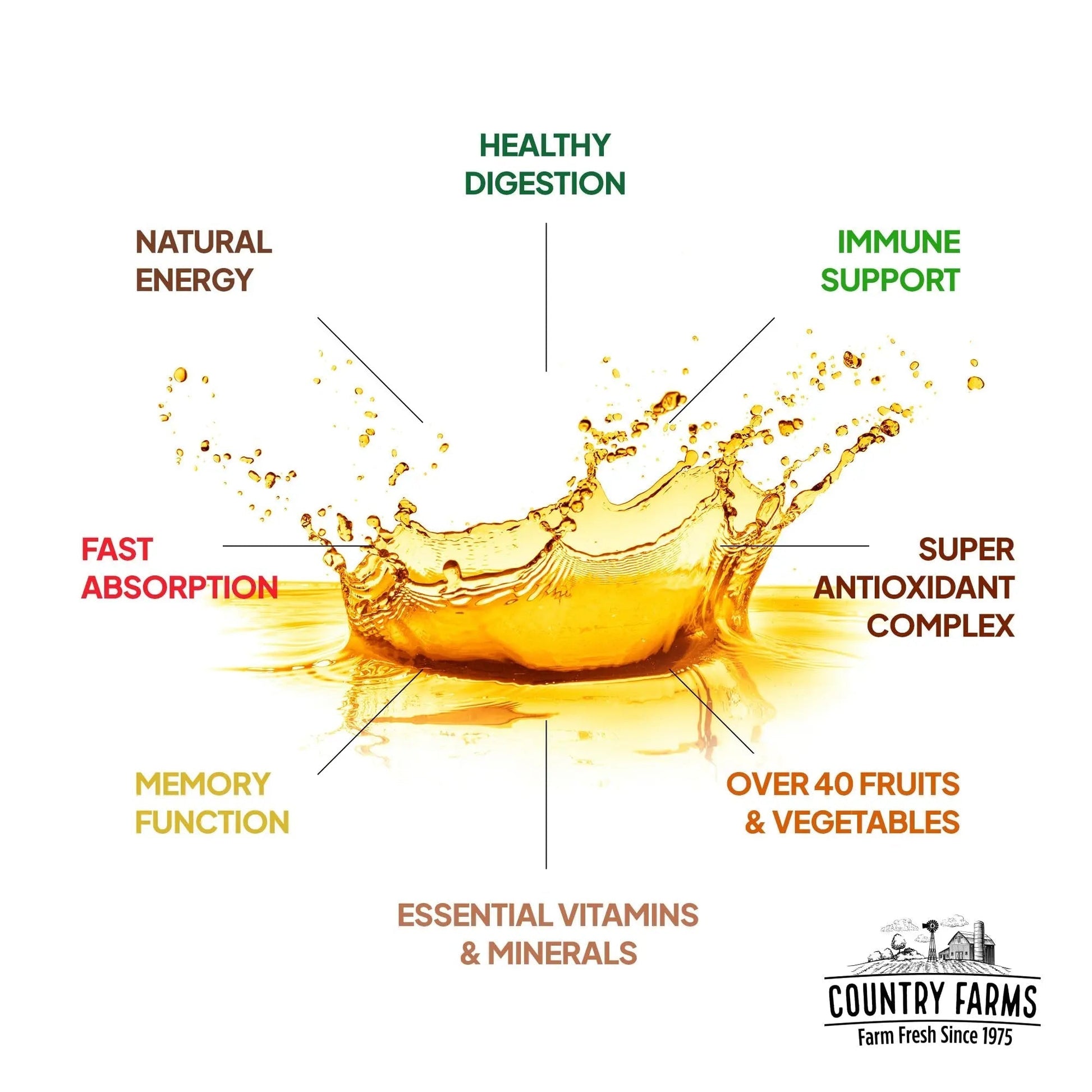 Country Farms Liquid Multivitamin, Vitamins and Minerals for Immune Support and Energy, Herbal Blend, Vegan Country Farms buy supplements canada