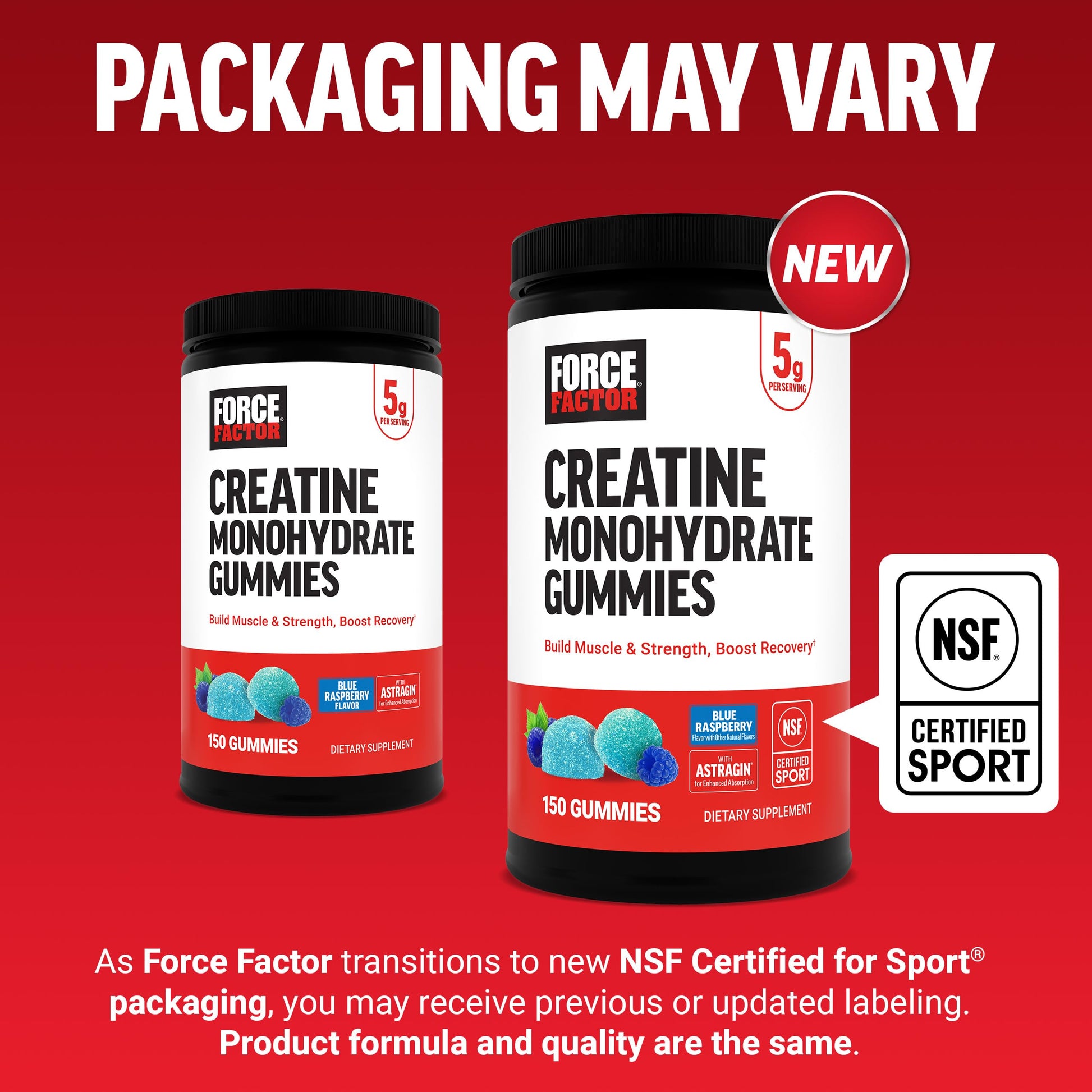 Force Factor Creatine Monohydrate Gummies, NSF Certified, 5g Dose for Men & Women to Support Muscle, Strength, Recovery, Cognitive Health & Memory, Packaging May Vary, Blue Raspberry, 150 Gummies Force Factor buy supplements canada