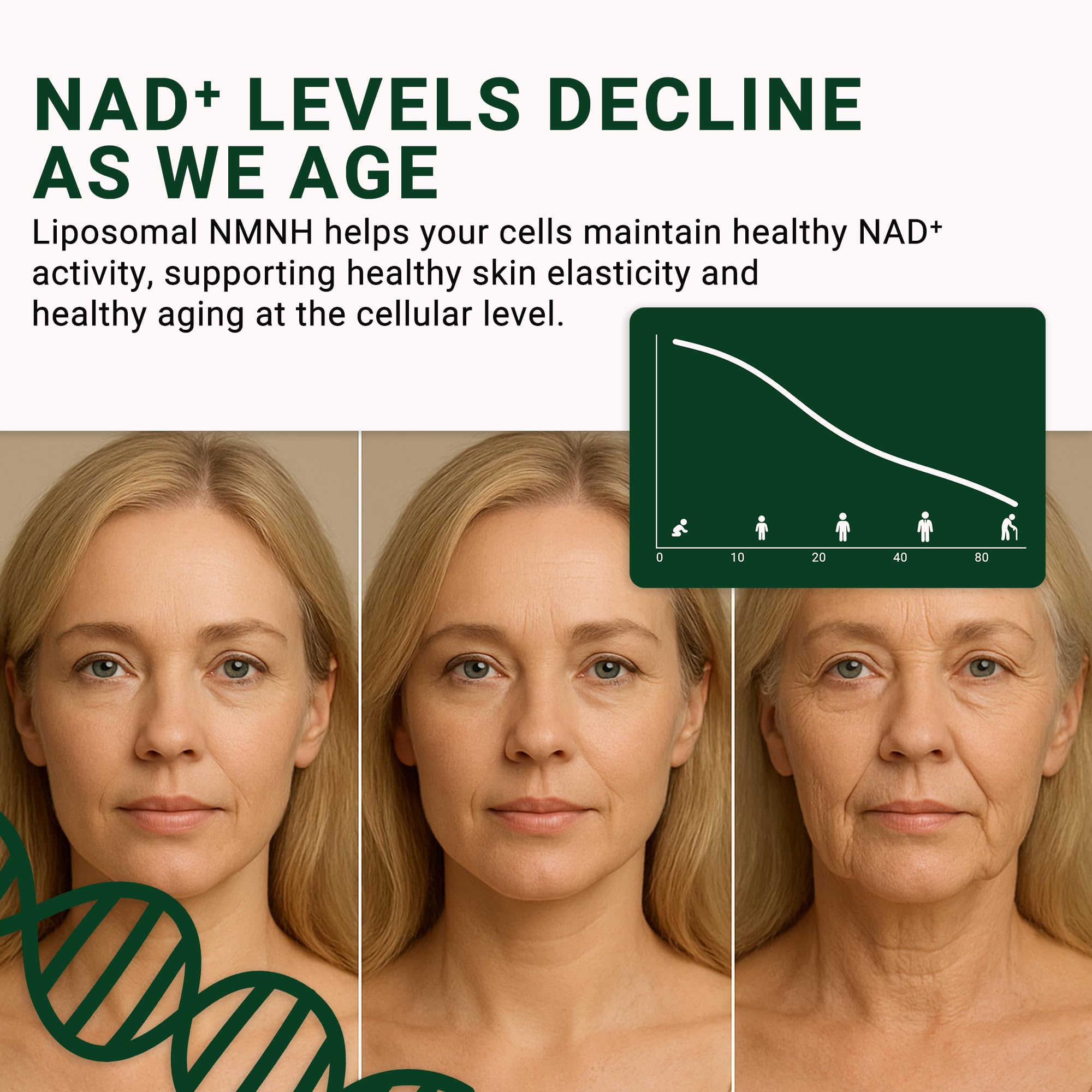GenuinePurity - NMNH NAD Supplement - 250mg, 30 Count Liposomal NAD+ Supplement for Cellular Health & Energy - GMP Certified Advanced Reduced Form of NMN for Superior Stability & Absorption GenuinePurity buy supplements canada