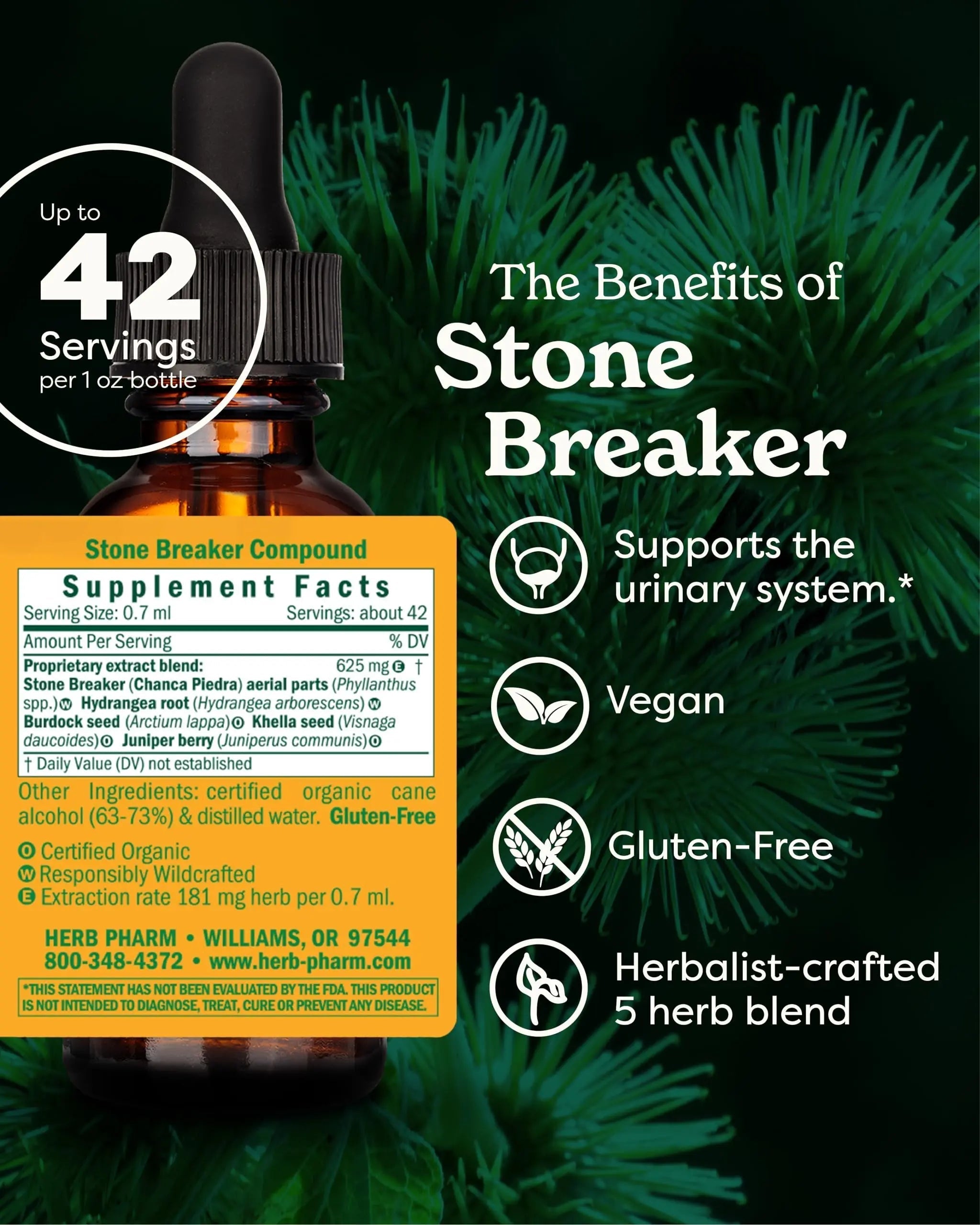 Herb Pharm Stone Breaker (Chanca Piedra) Compound Liquid for Urinary System Support - 1 Fl Oz Herb Pharm buy supplements canada