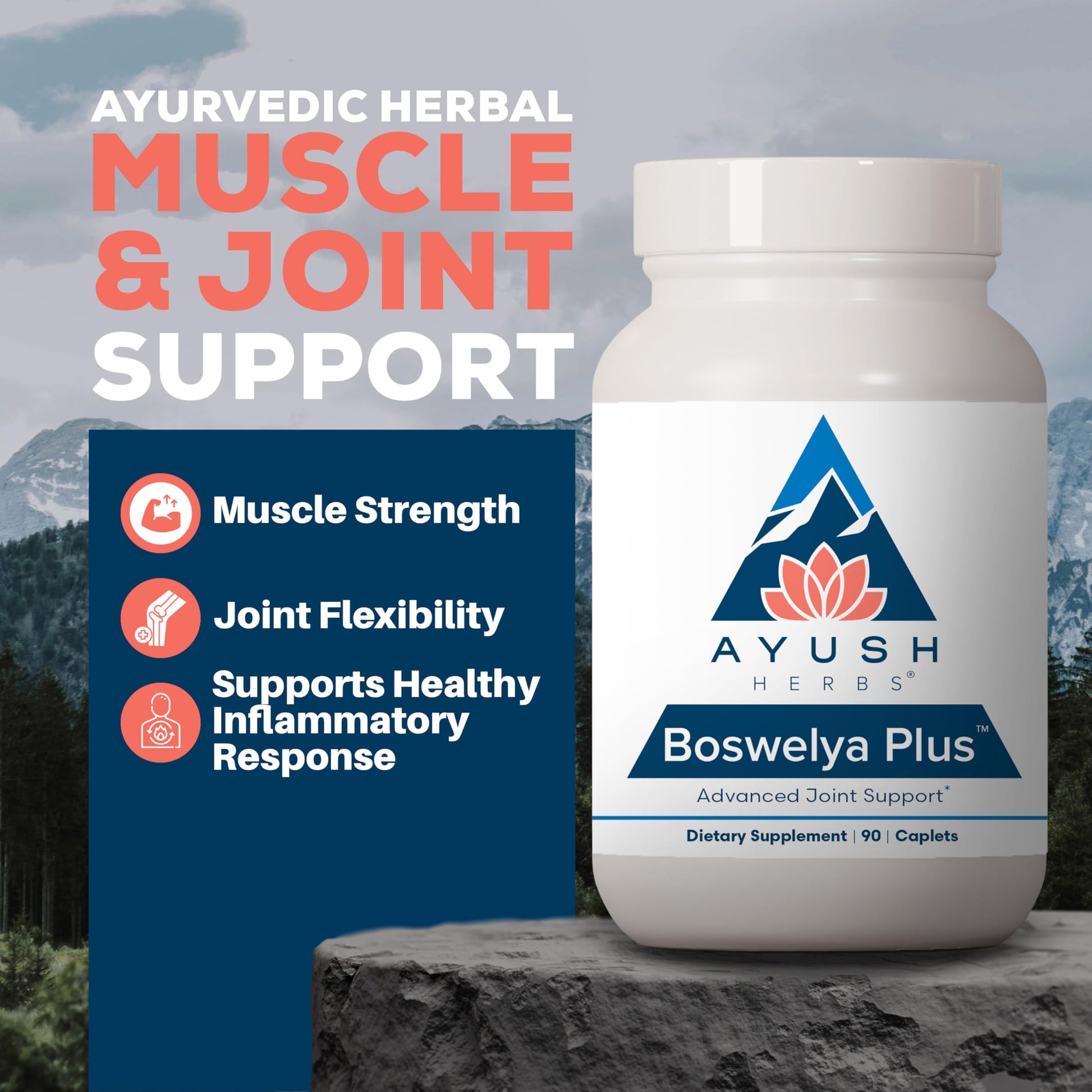 Ayush Herbs Boswelya Plus - Glucosamine Chondroitin Joint Support Supplement, Turmeric Muscle Support for Men & Women, Joint Care with Curcumin - 90 Vegetarian Capsules (1 Count) Ayush Herbs buy supplements canada