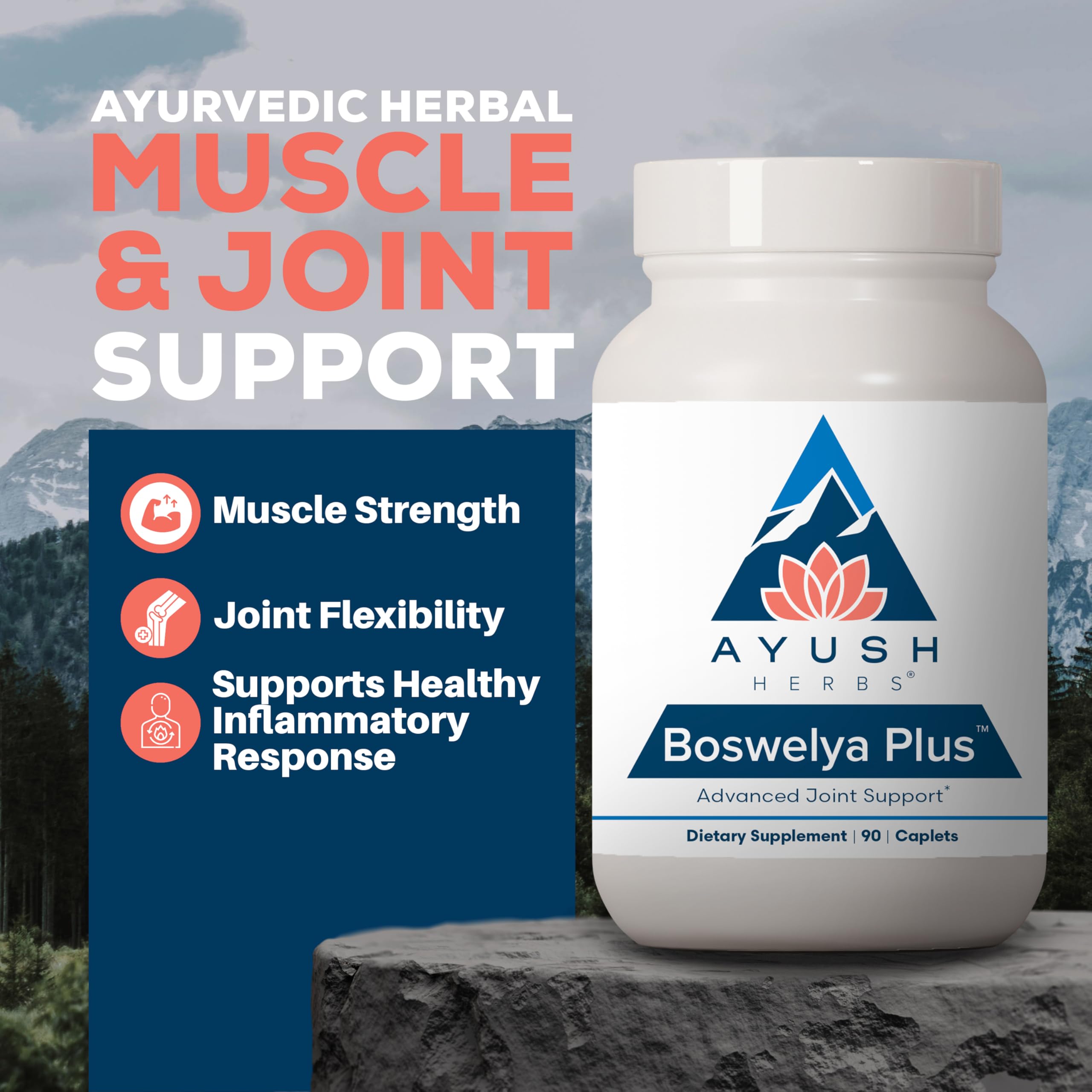 Ayush Herbs Boswelya Plus - Glucosamine Chondroitin Joint Support Supplement, Turmeric Muscle Support for Men & Women, Joint Care with Curcumin - 90 Vegetarian Capsules (1 Count) Ayush Herbs buy supplements canada