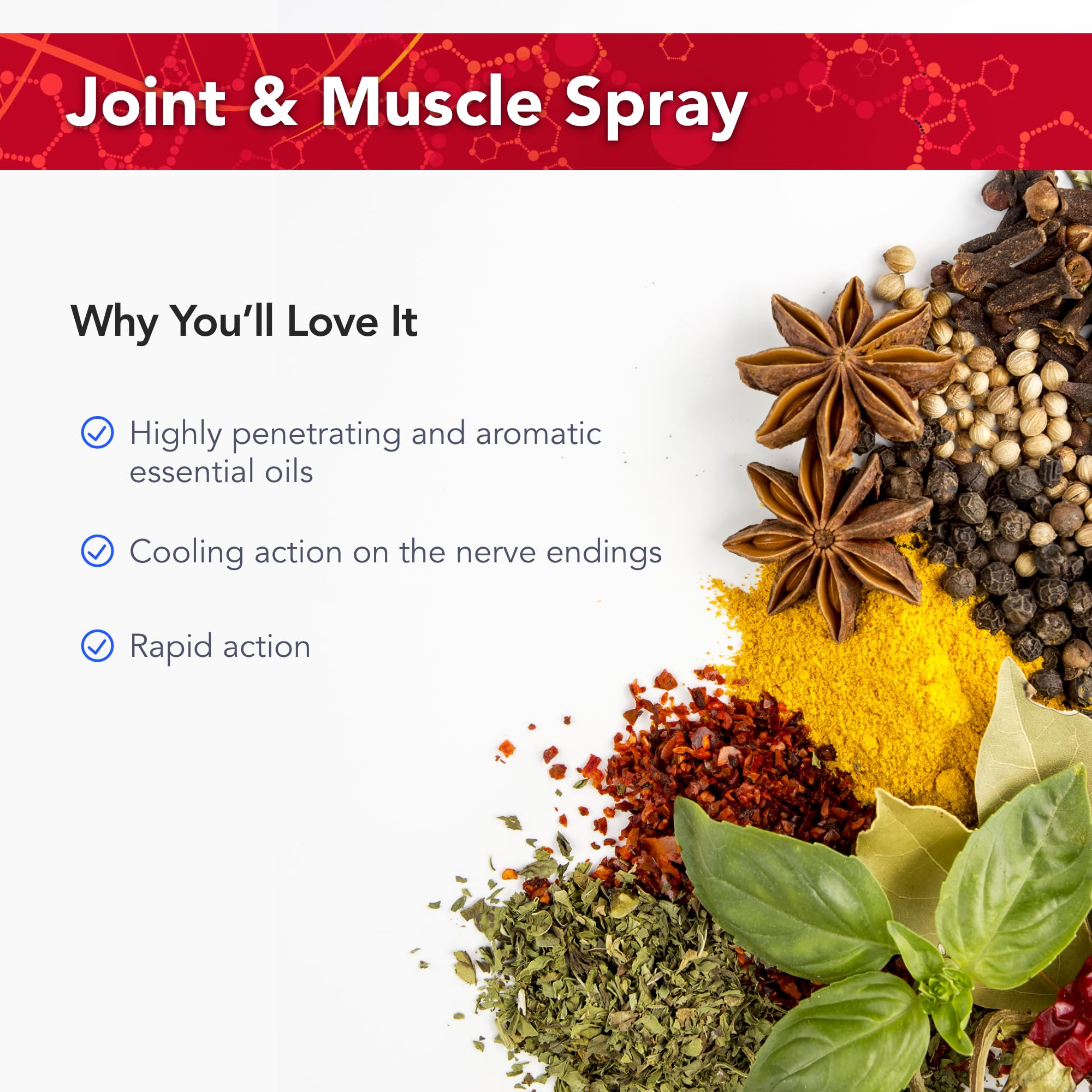 Physician's Strength PainMist - 1 fl oz - Healthy Inflammation Support - Non-GMO Physician's Strength buy supplements canada