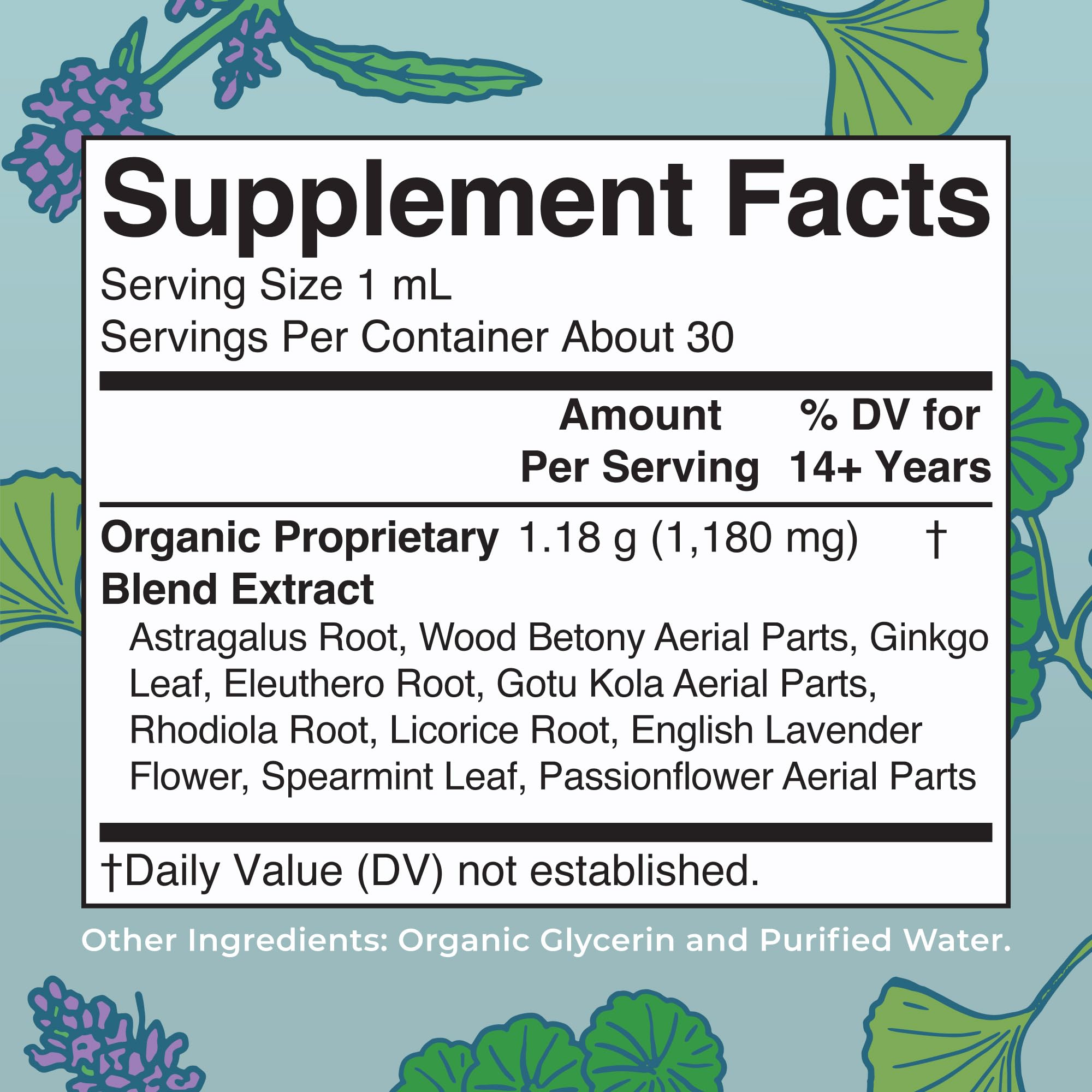 MaryRuth Organics - USDA Organic Brain Nootropic Supplement for Adults with Ginkgo Biloba & Astragalus | Focus & Adrenal Support | Brain & Memory Drops | Vegan | Non-GMO | Gluten Free | 30 Servings MARYRUTH'S buy supplements canada