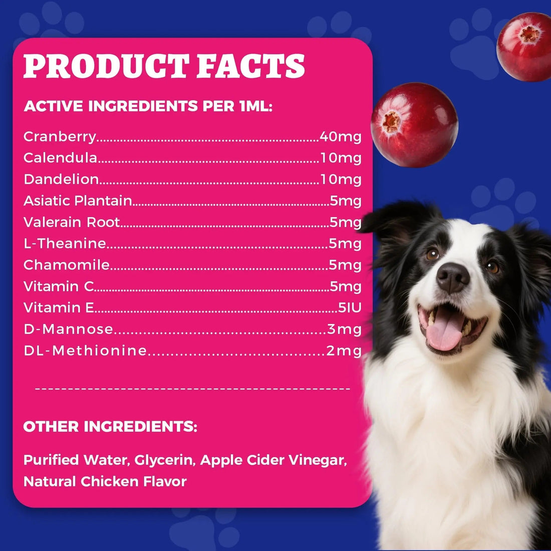4oz Wellix Natural Cat & Dog UTI Treatment Drops,Cat & Dog Urinary Tract Infection Treatment - Cranberry & D-Mannose for Dogs & Cats - Kidney Health Supplement Wellix buy supplements canada