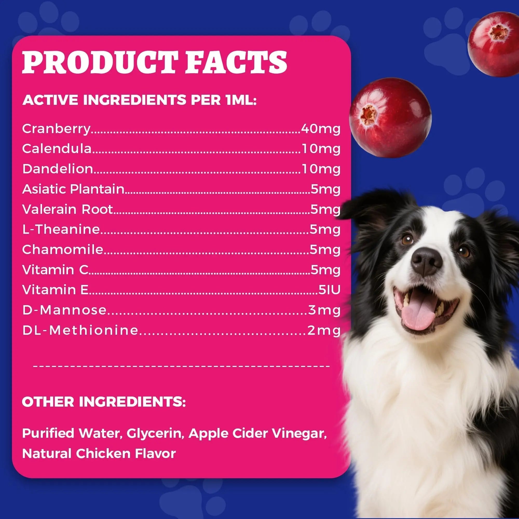 4oz Wellix Natural Cat & Dog UTI Treatment Drops,Cat & Dog Urinary Tract Infection Treatment - Cranberry & D-Mannose for Dogs & Cats - Kidney Health Supplement Wellix buy supplements canada